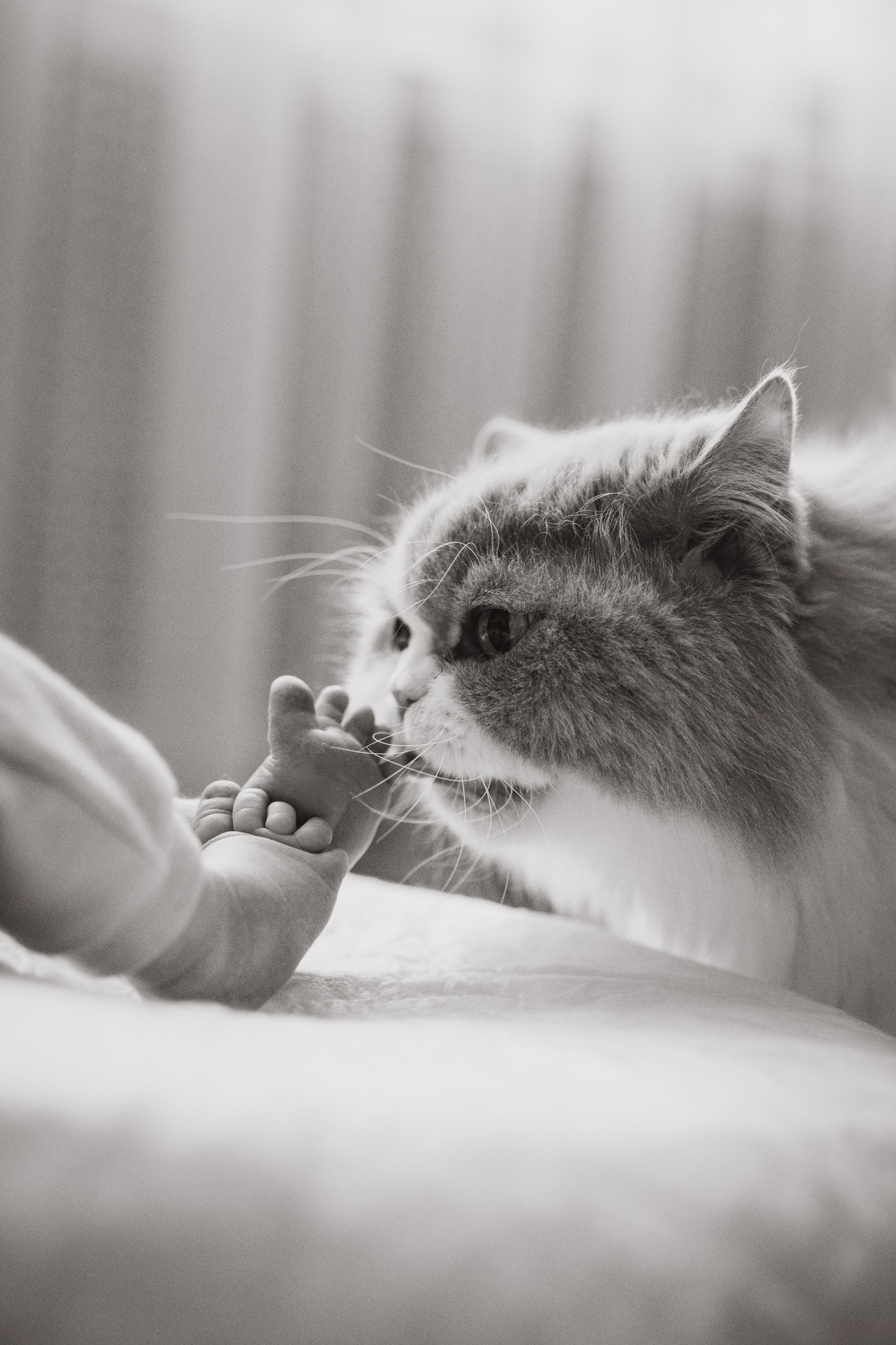 Александр, Мария и Павлуша