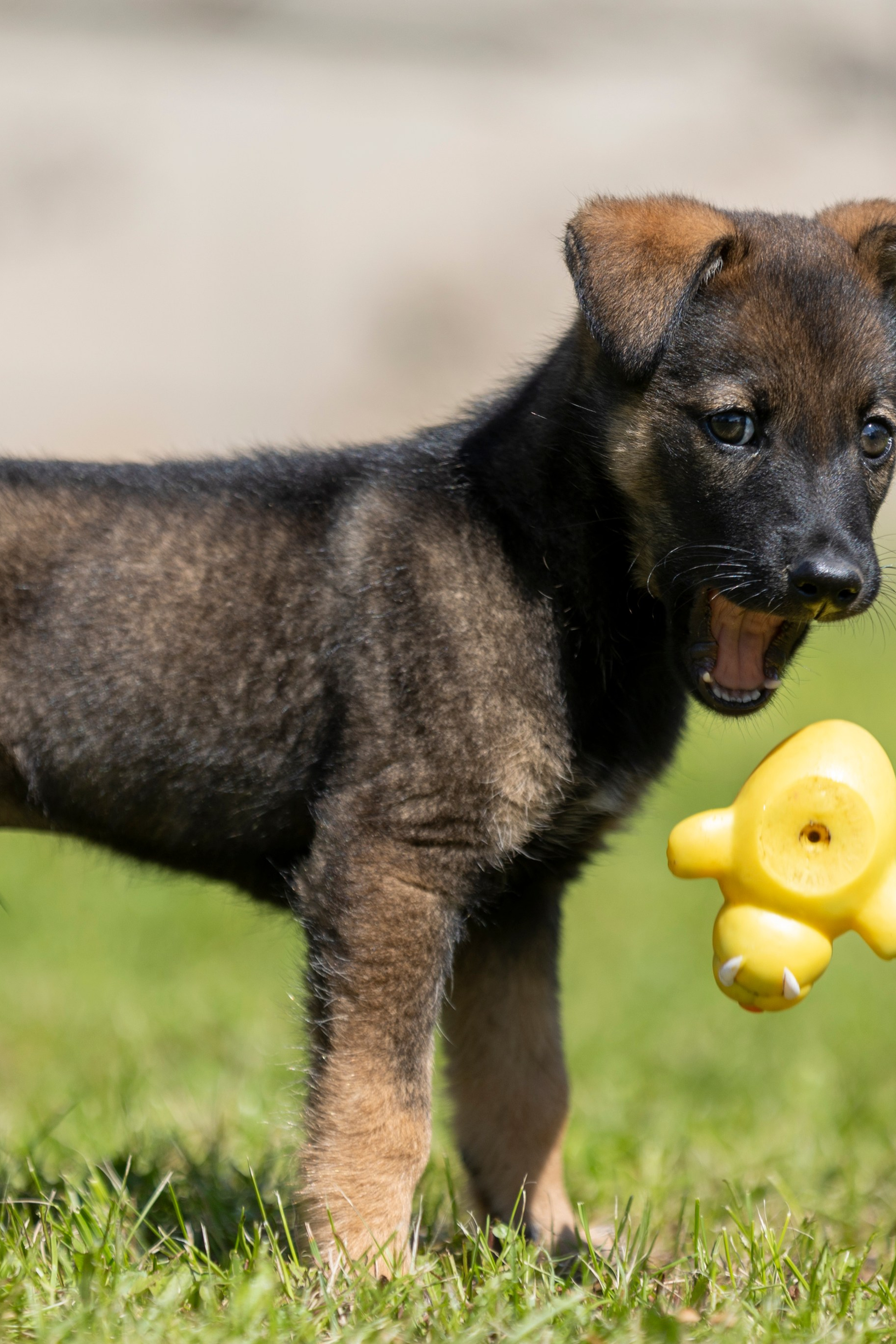 Фотограф-волонтер. Фотограф 📸 семейный, предметный, репортажный