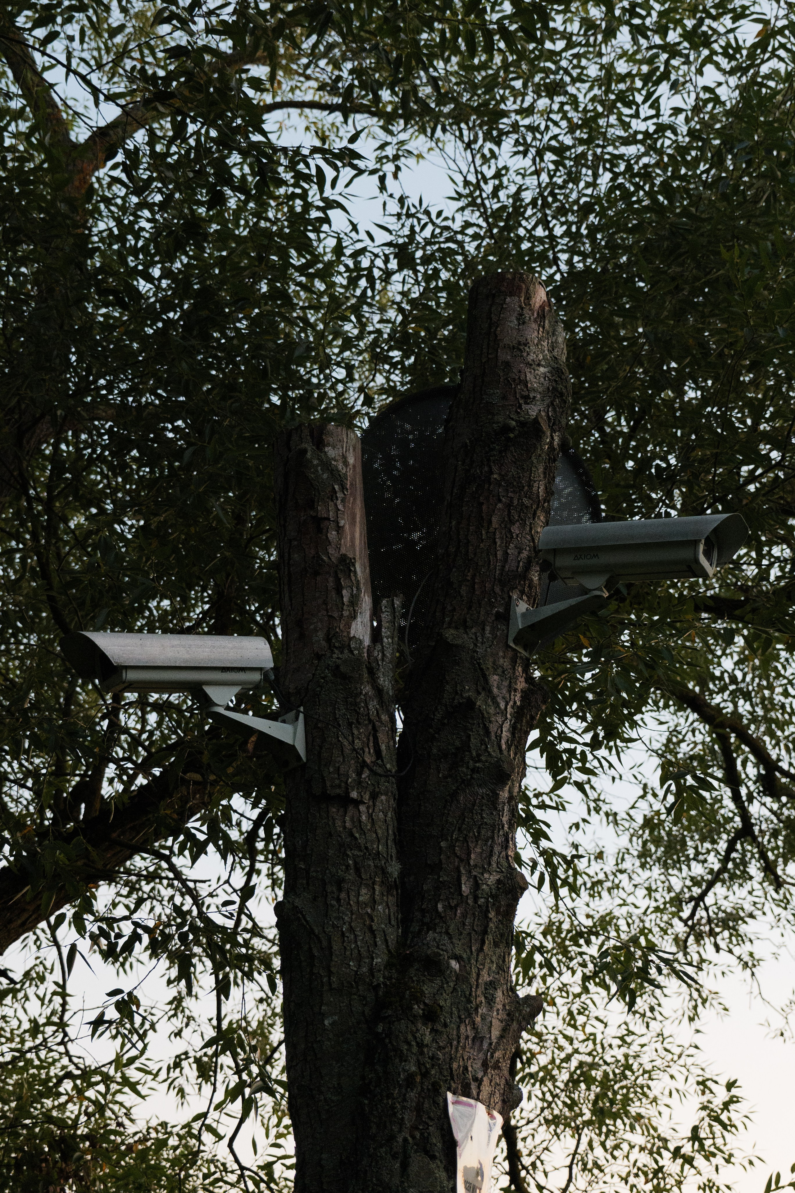 Ошибка навигатора