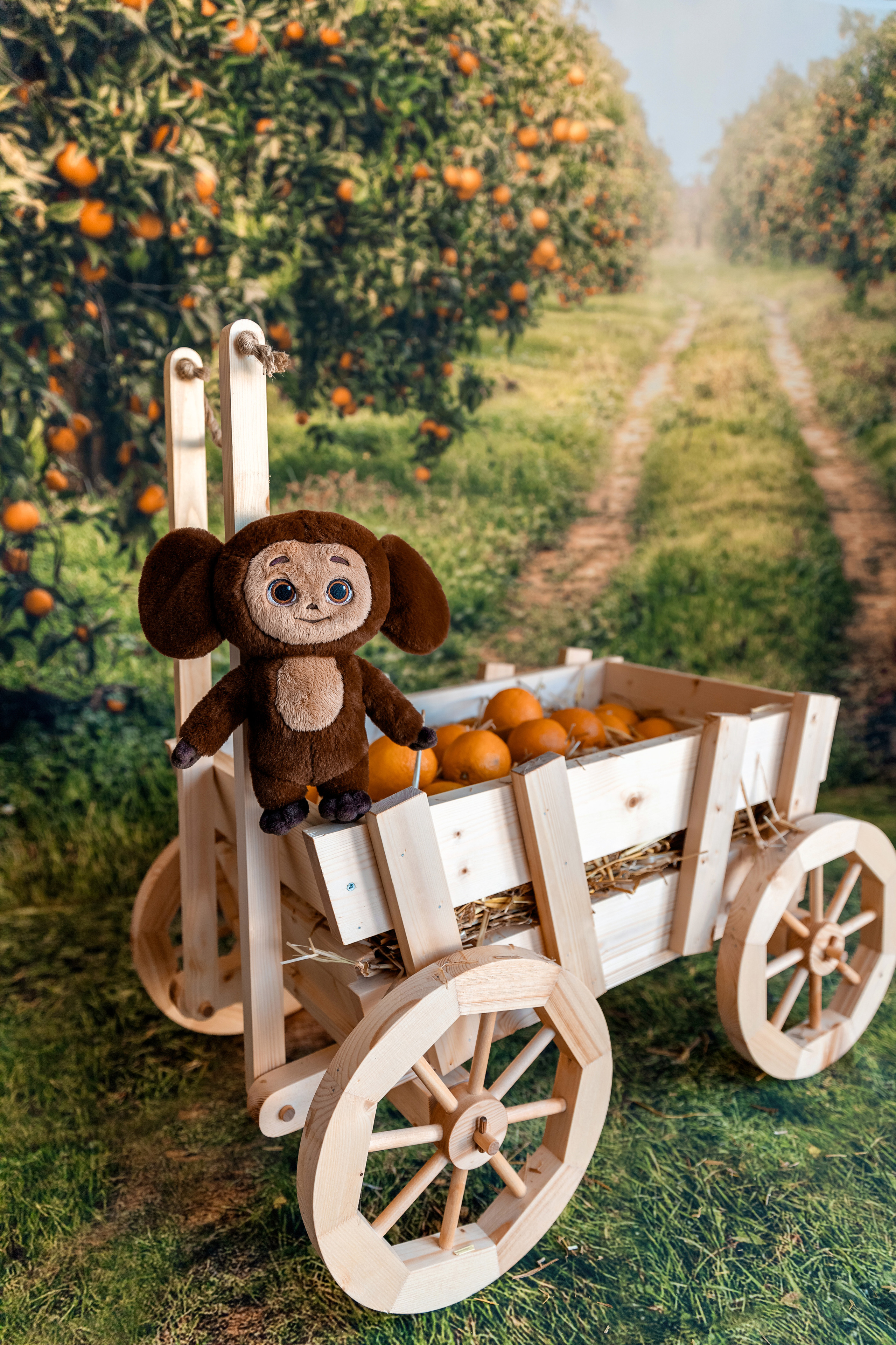 Тематические фотопроекты