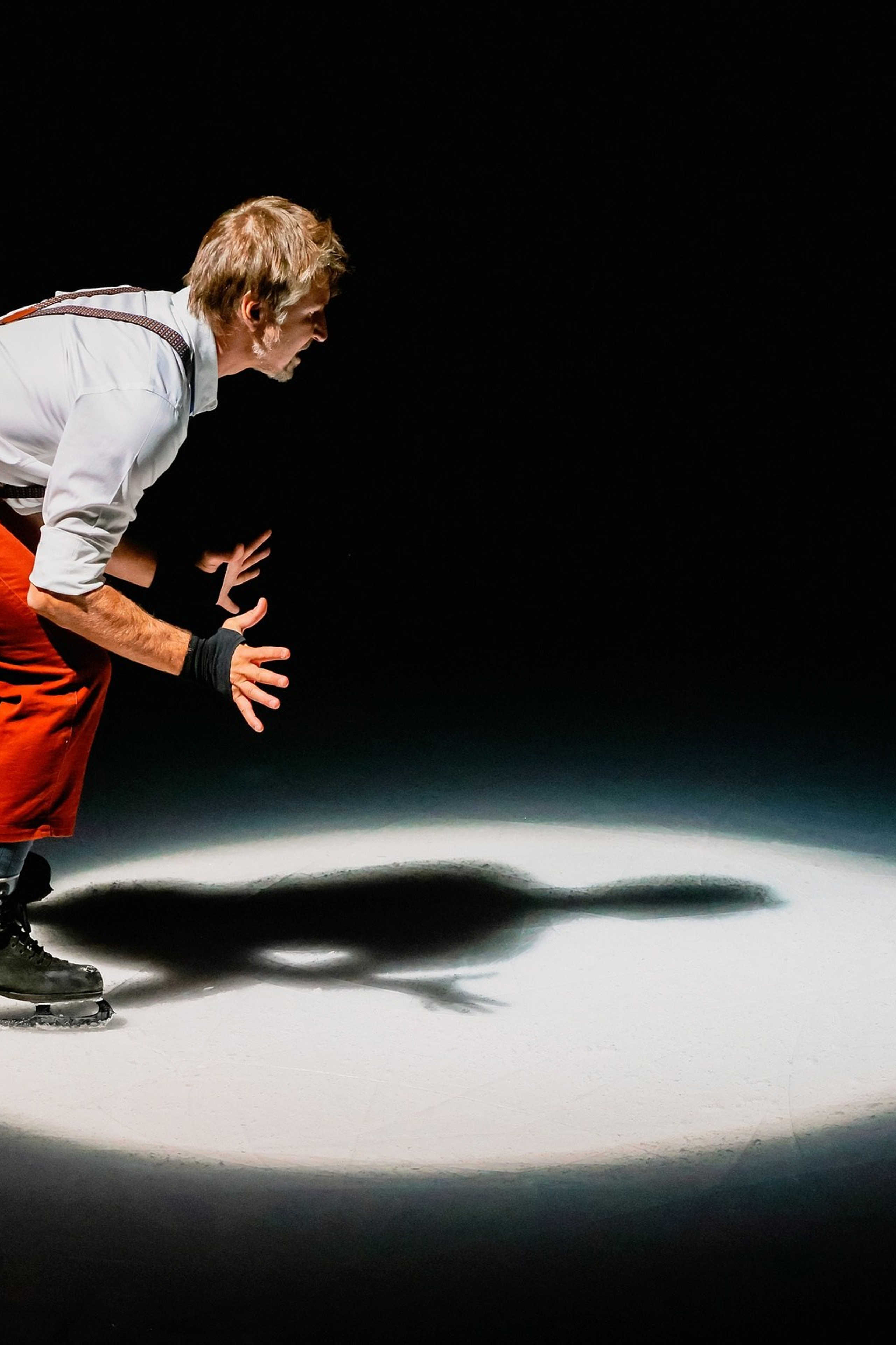 Соревнования по танцам с собаками. Спортивный фотограф Зянтереков Антон