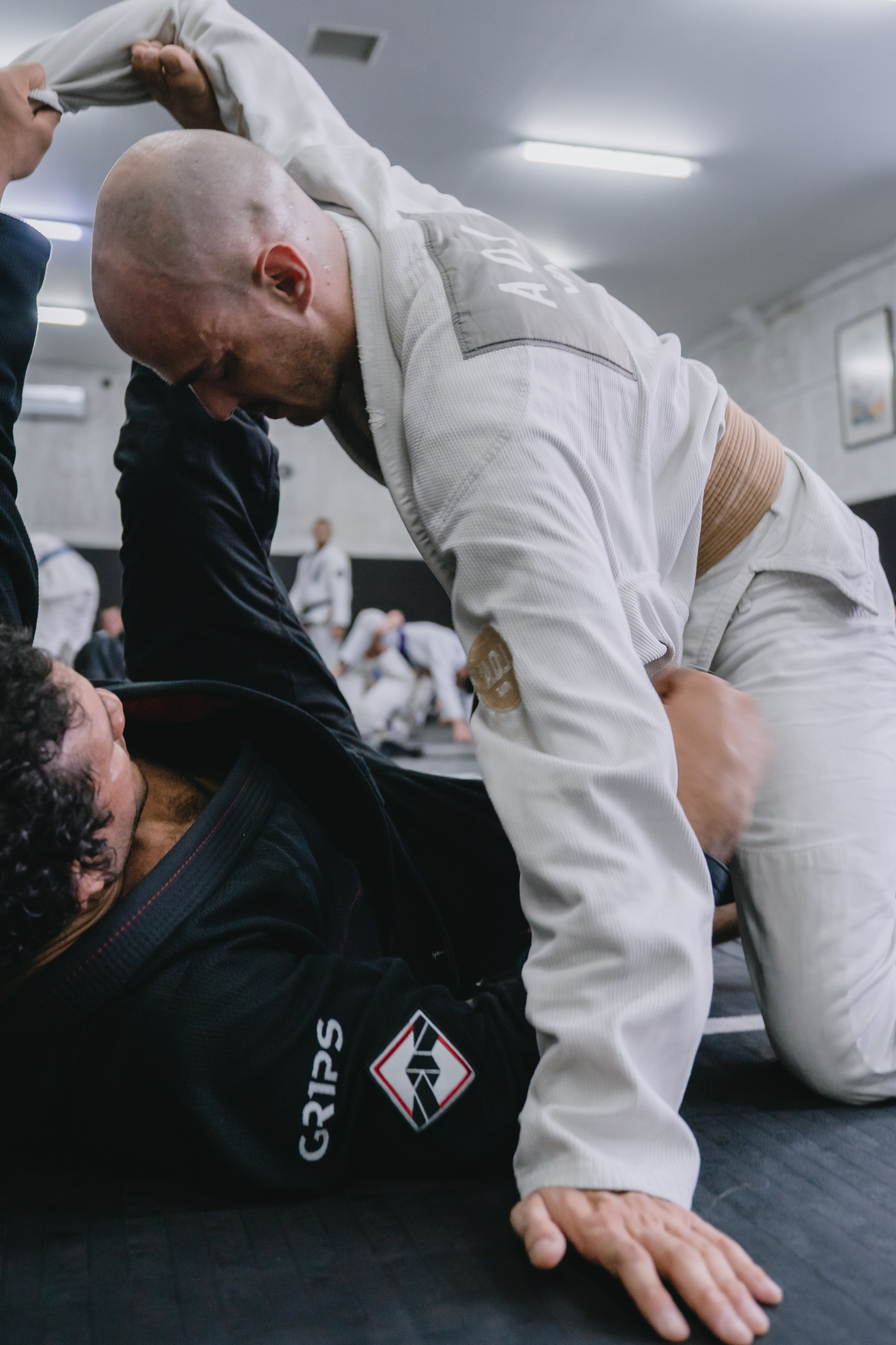 Lucas Barbosa 5X IBJJF Black Belt World Champion session for Al Leone. Сергей Зворыгин