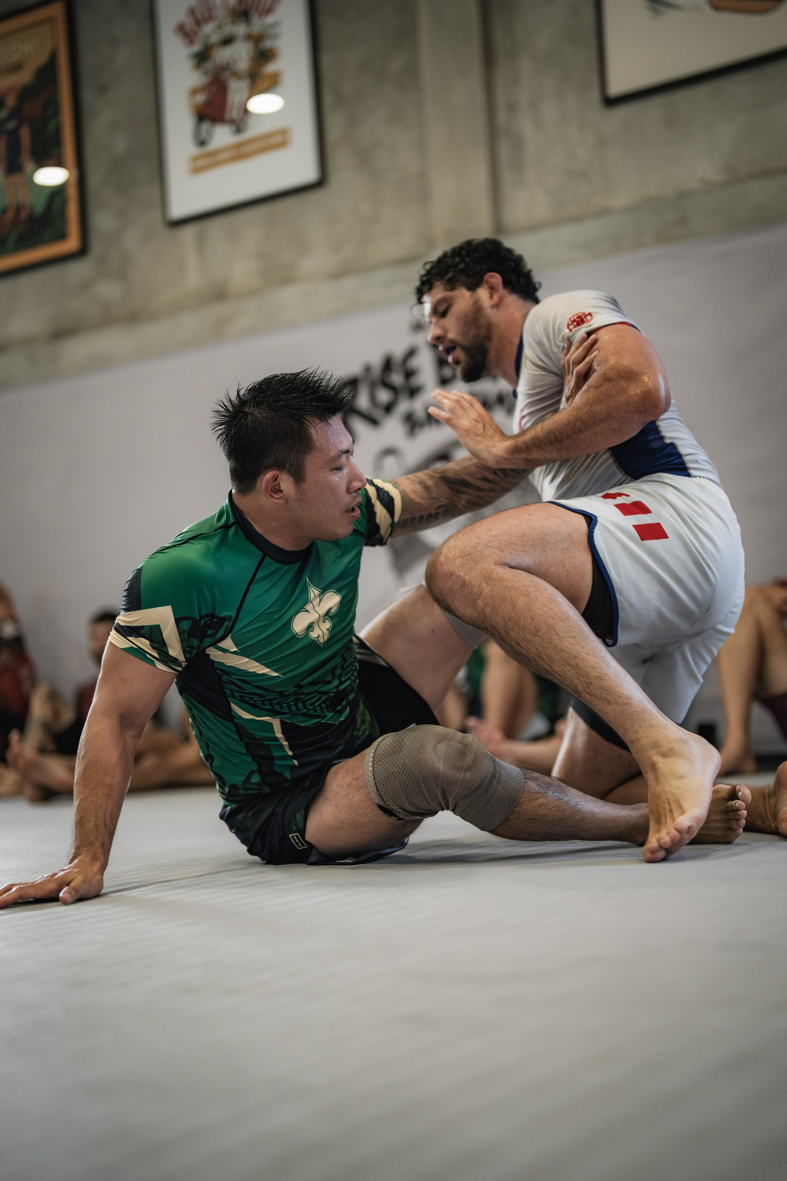 Demian MAIA and Felipe PENA, ADCC World Champions, BJJ training session. Сергей Зворыгин