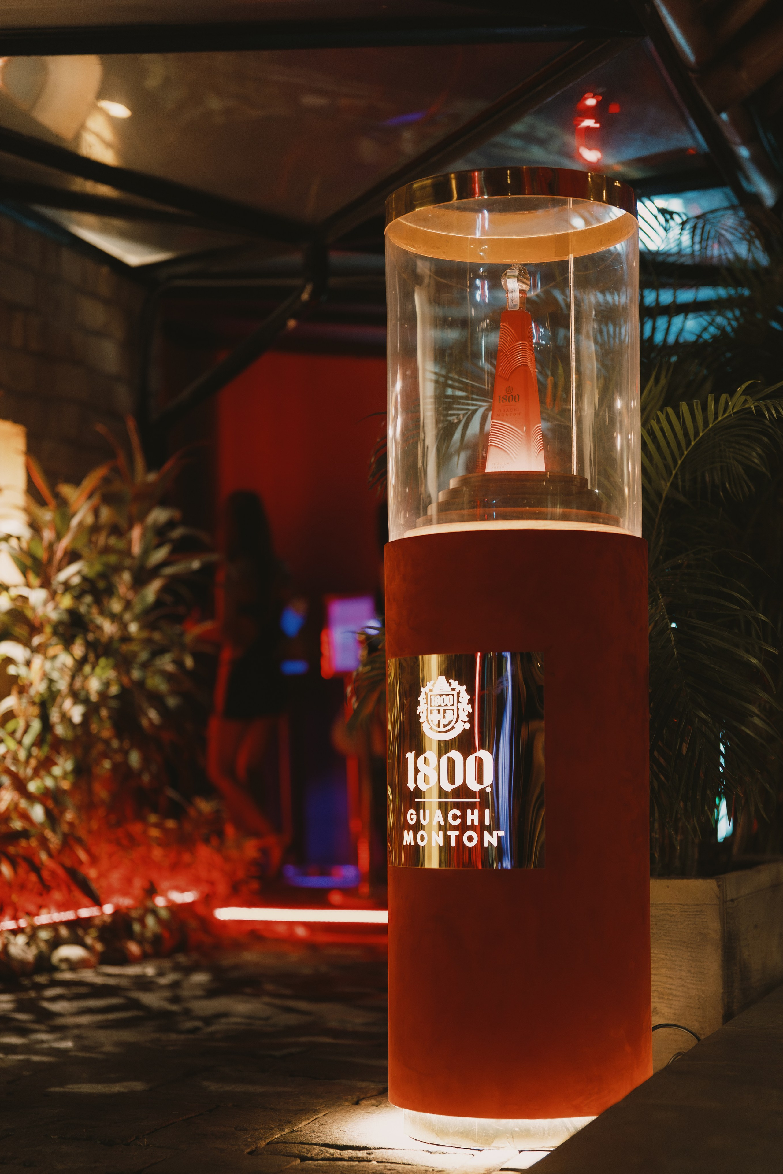 1800 Spirits from Mexico, a presentation during deep night at LT. Сергей Зворыгин