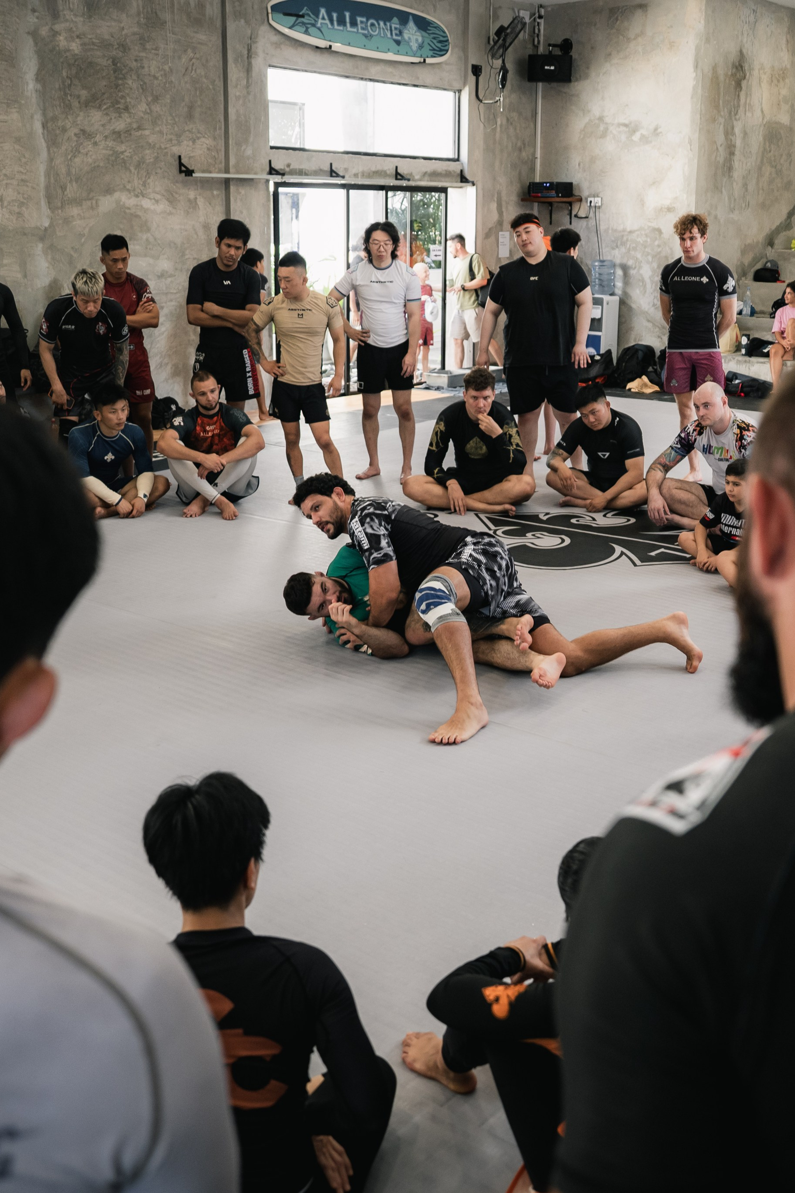 Felipe PENA and Demian MAIA, ADCC World Champions, BJJ training session. Сергей Зворыгин