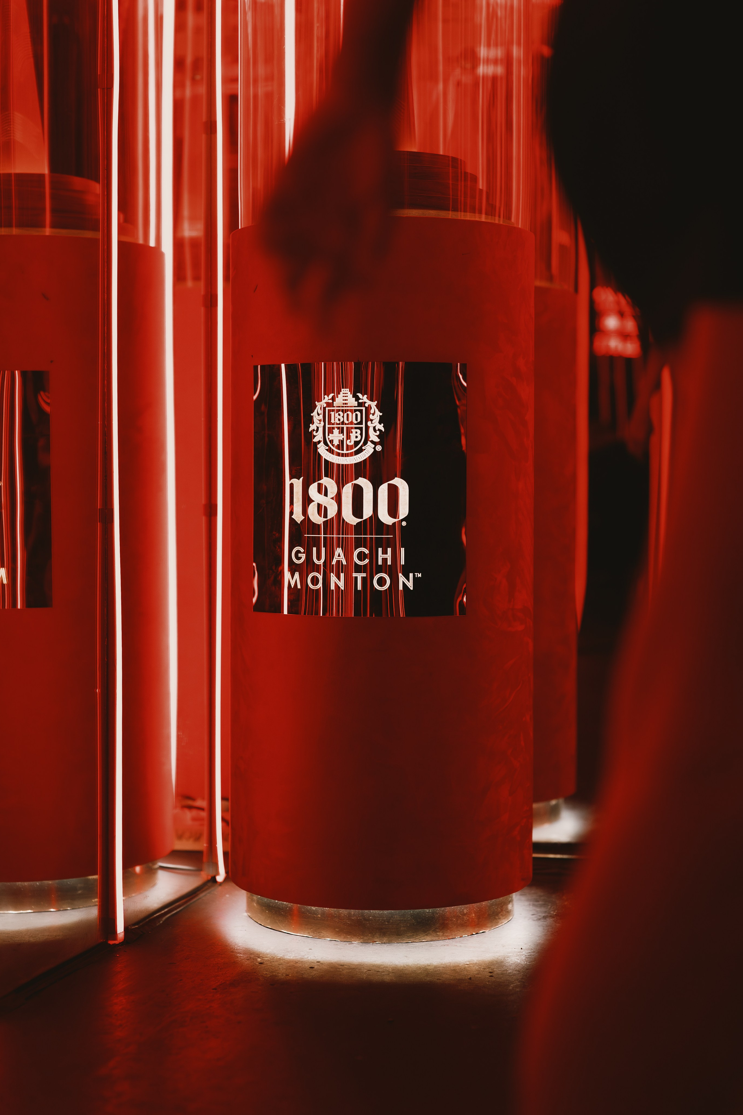 1800 Spirits from Mexico, a presentation during deep night at LT. Сергей Зворыгин