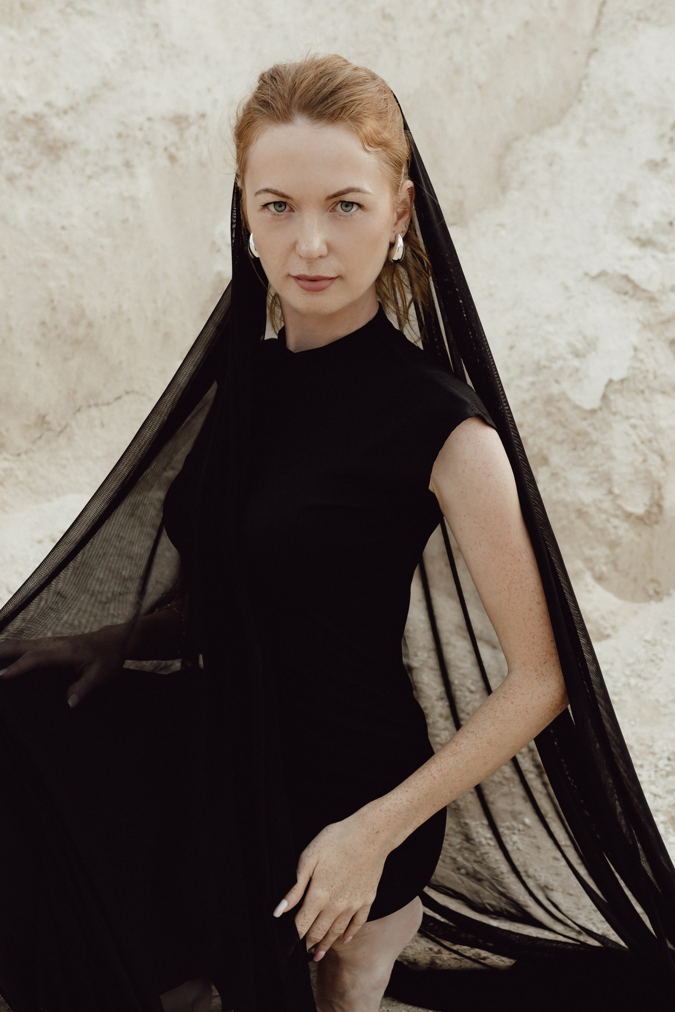 Елена. Карьер