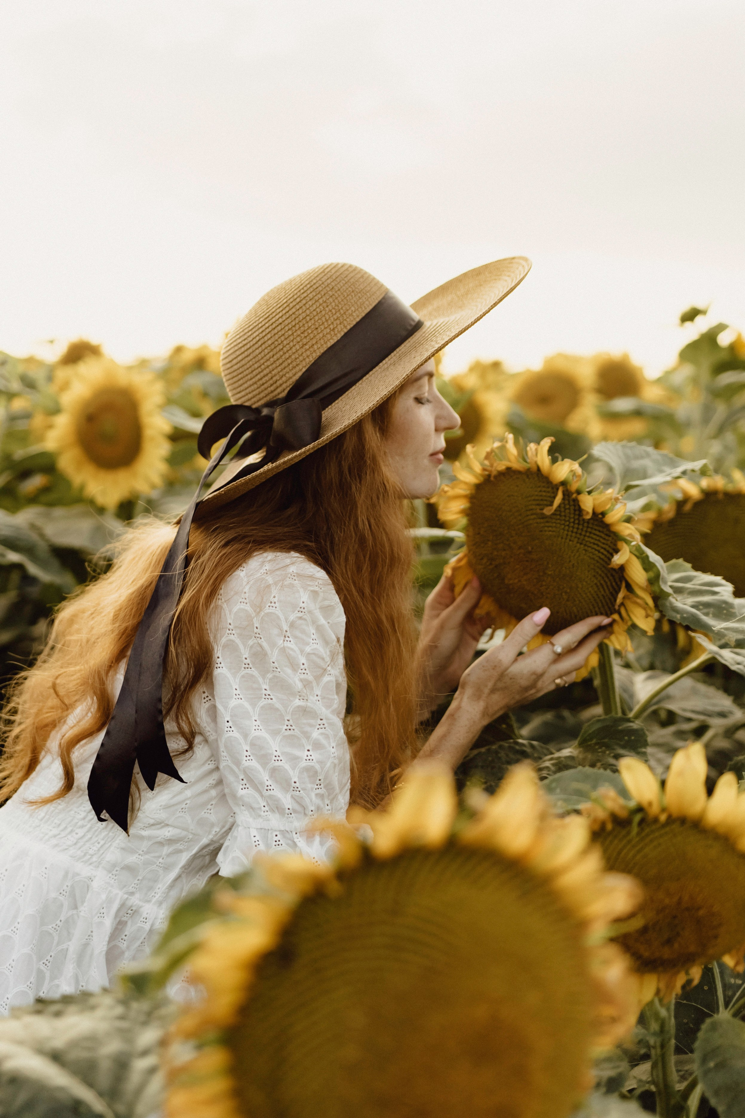 Елена в подсолнухах