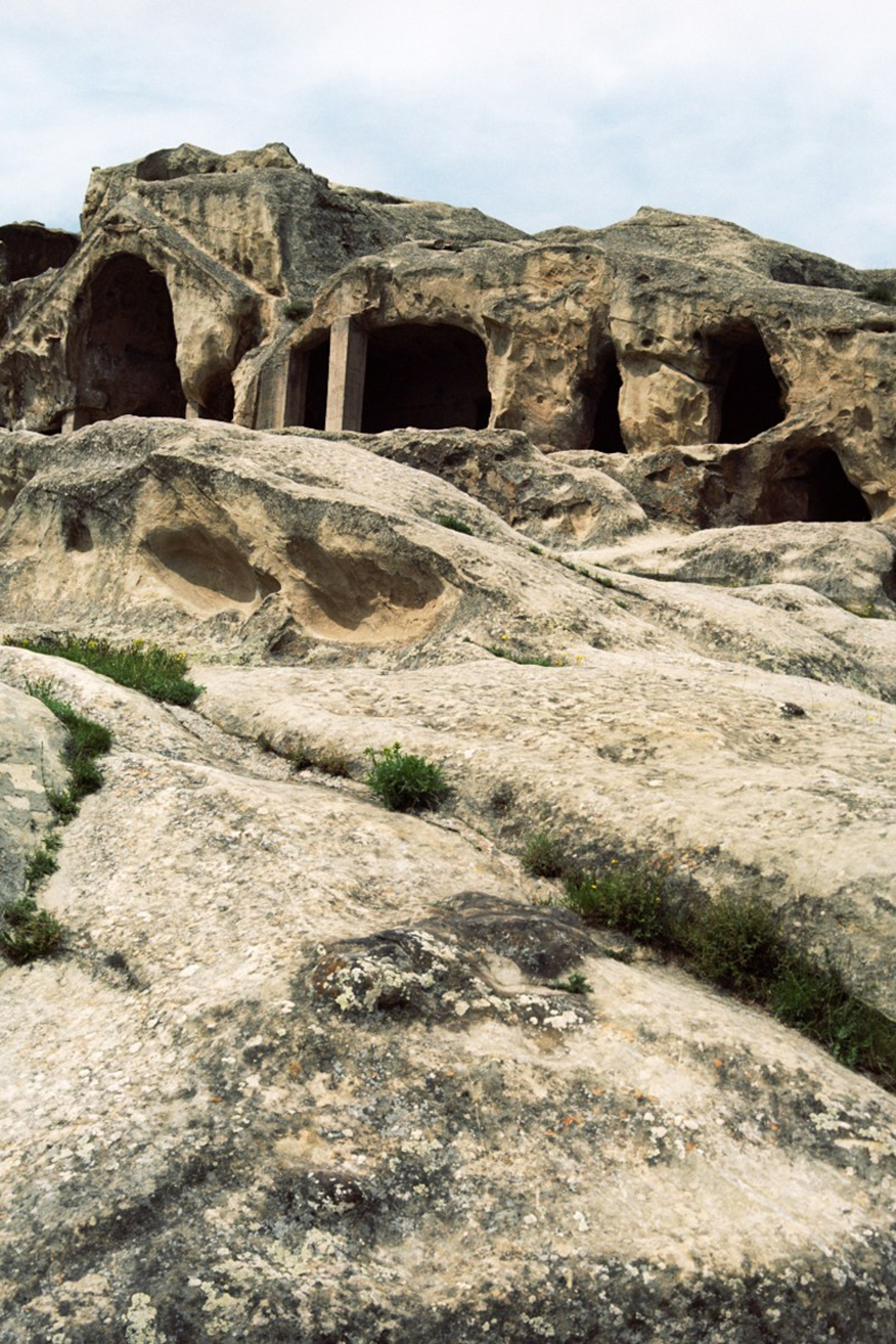 музей / the museum