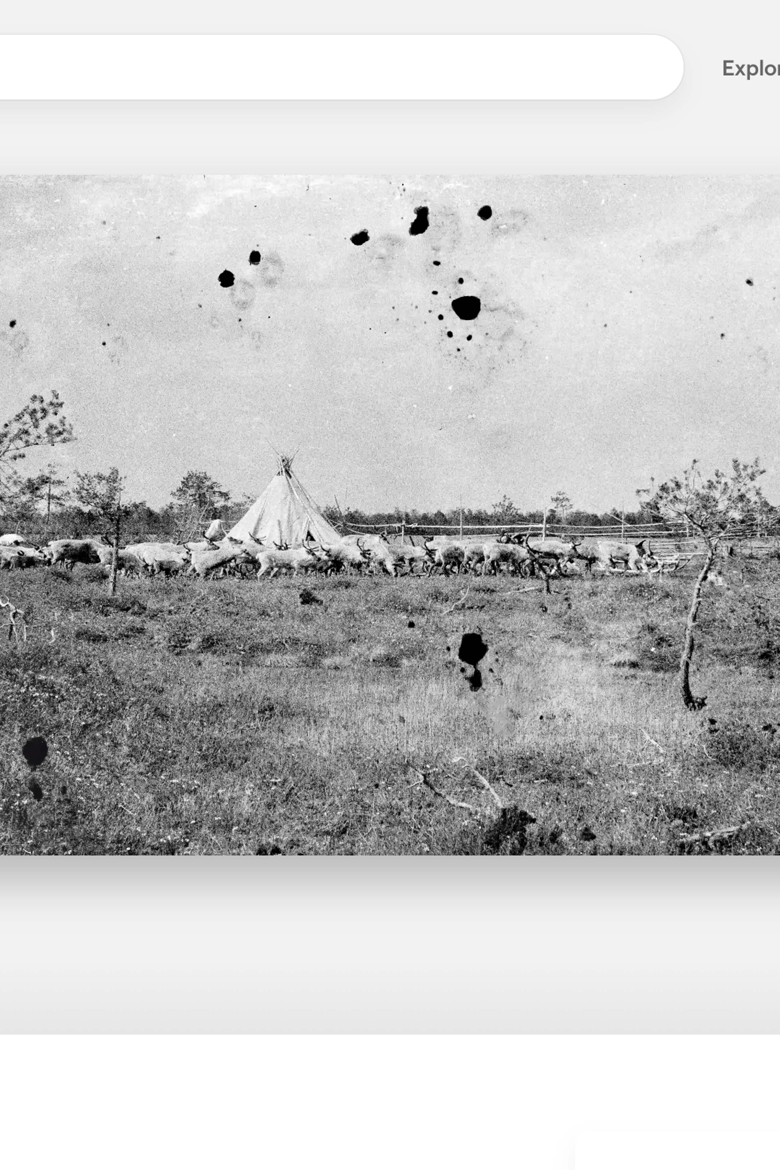 News timeline.beta. Igor Tereshkov