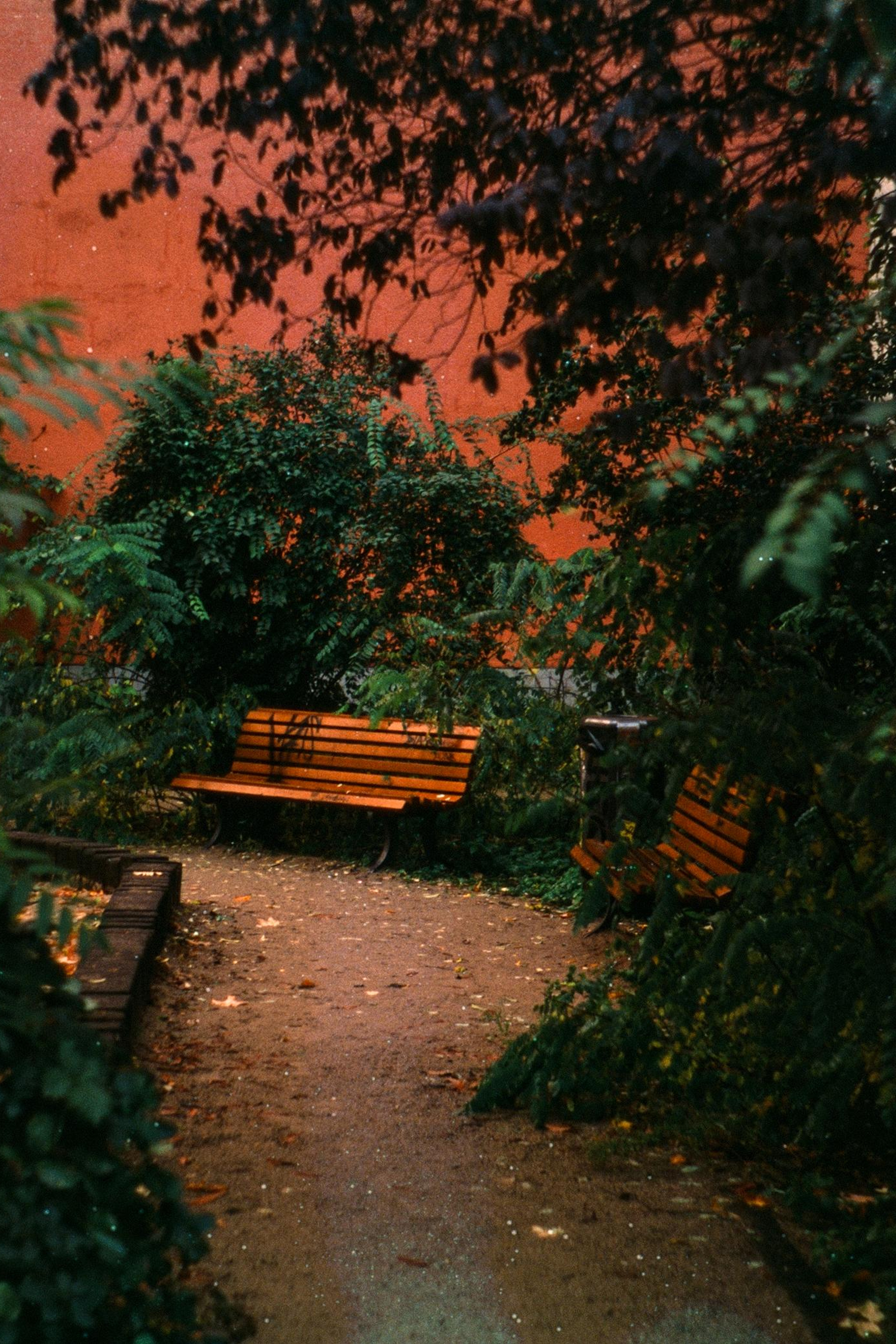 News timeline.beta. Igor Tereshkov