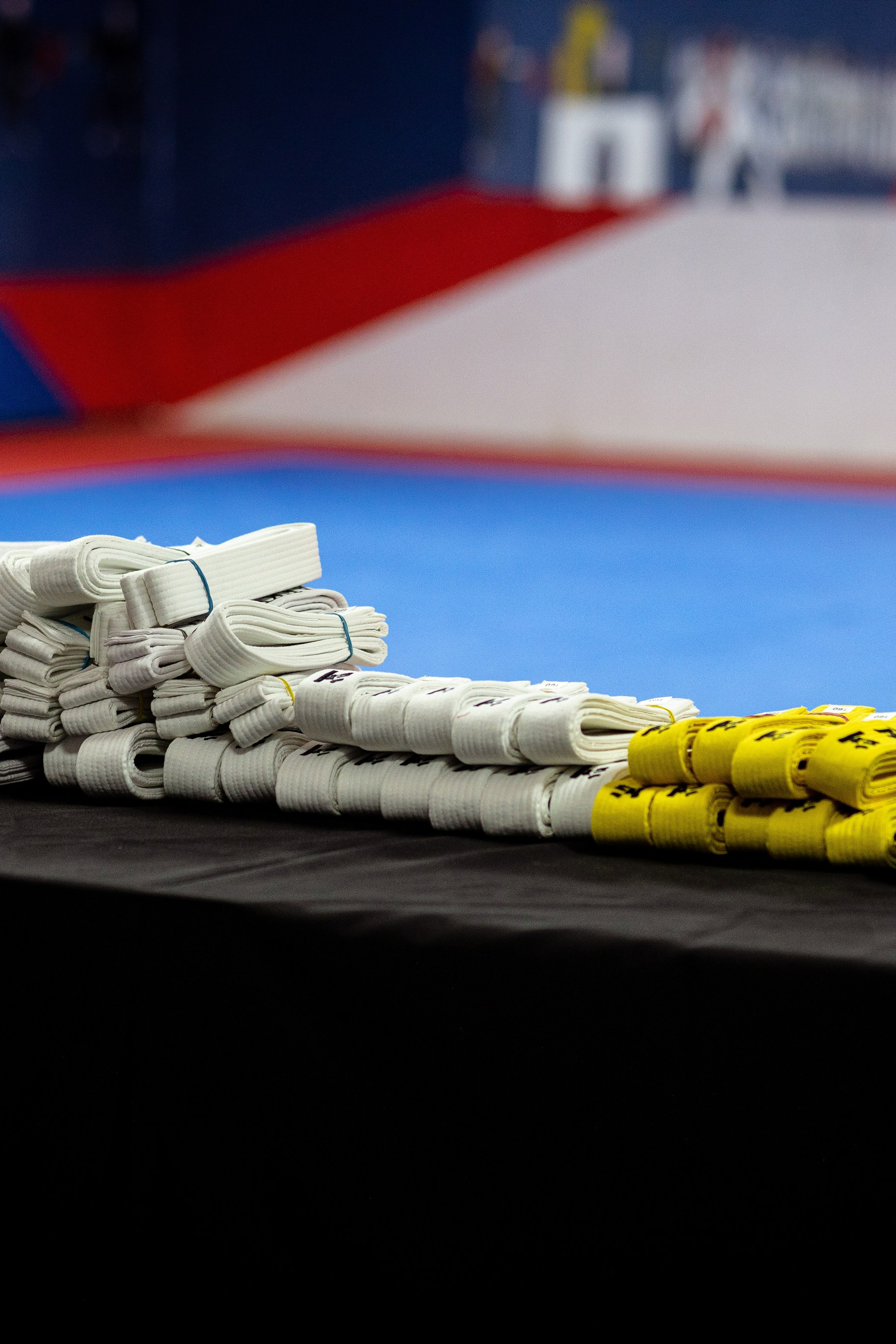 Ваши отзывы. Фотограф Тамара Прибойченко| Ярославль