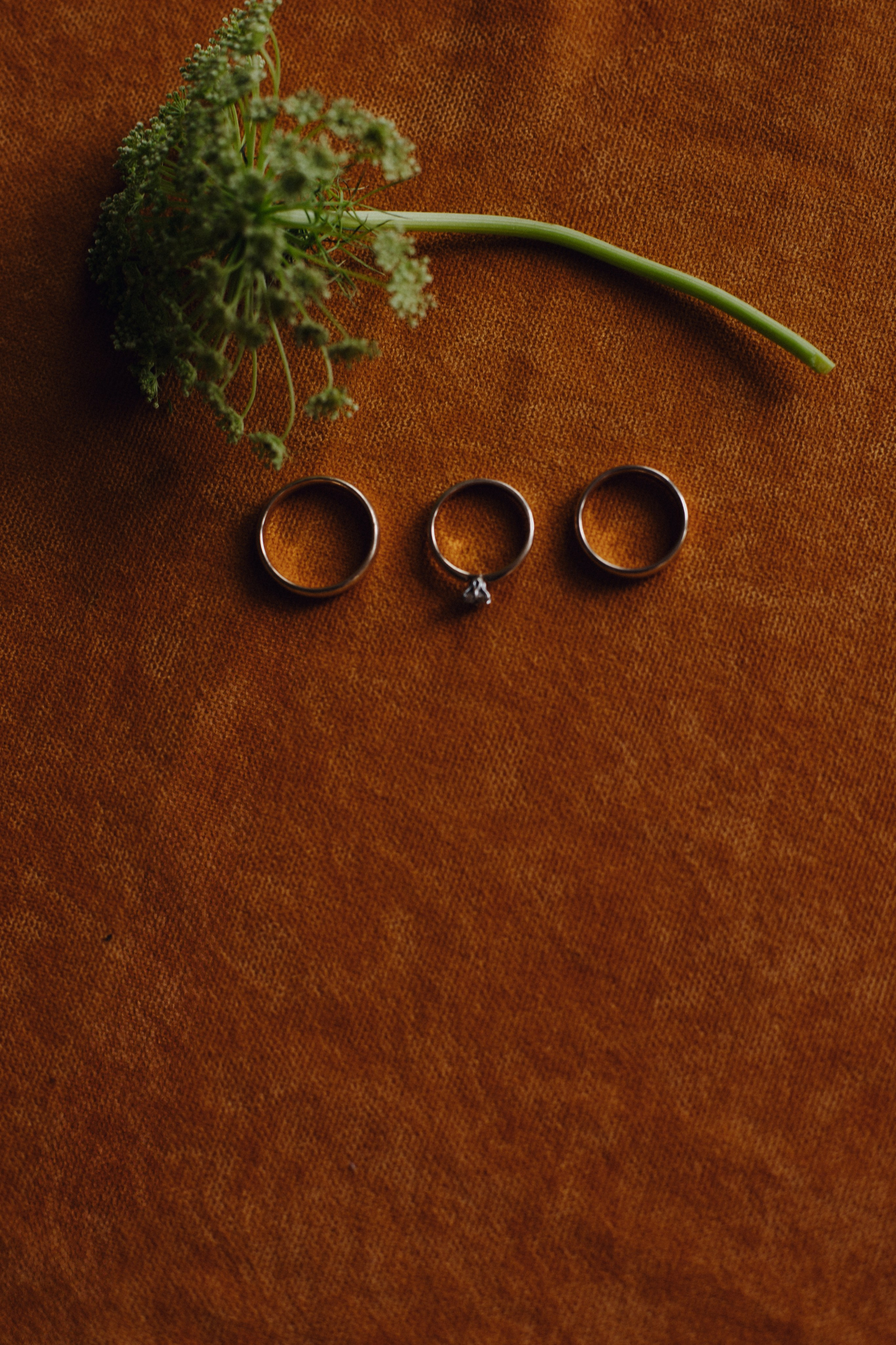 Кирилл + Татьяна. Свадебный фотограф в Ростове-на-Дону Нина Крейцберг