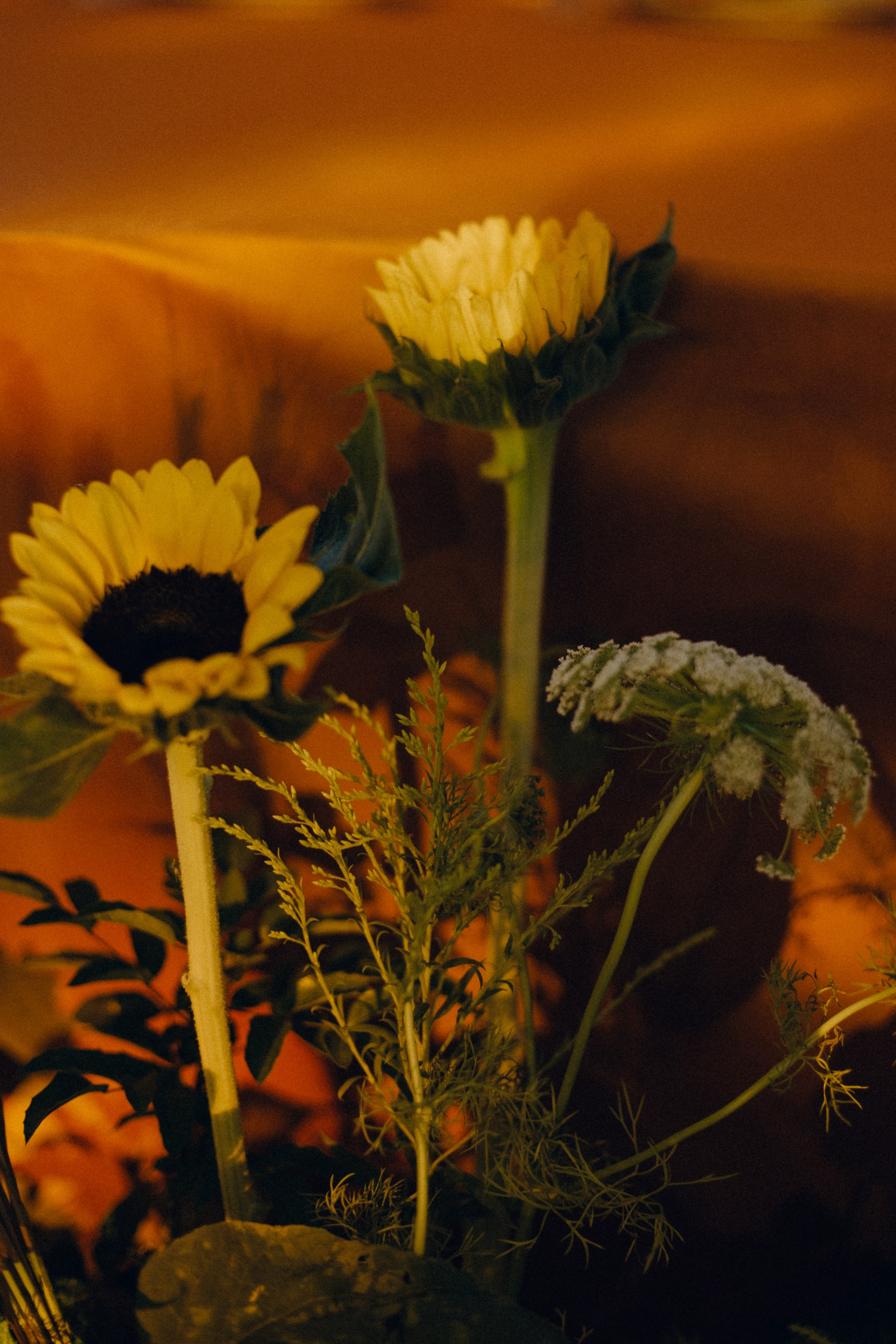 Кирилл + Татьяна. Свадебный фотограф в Ростове-на-Дону Нина Крейцберг