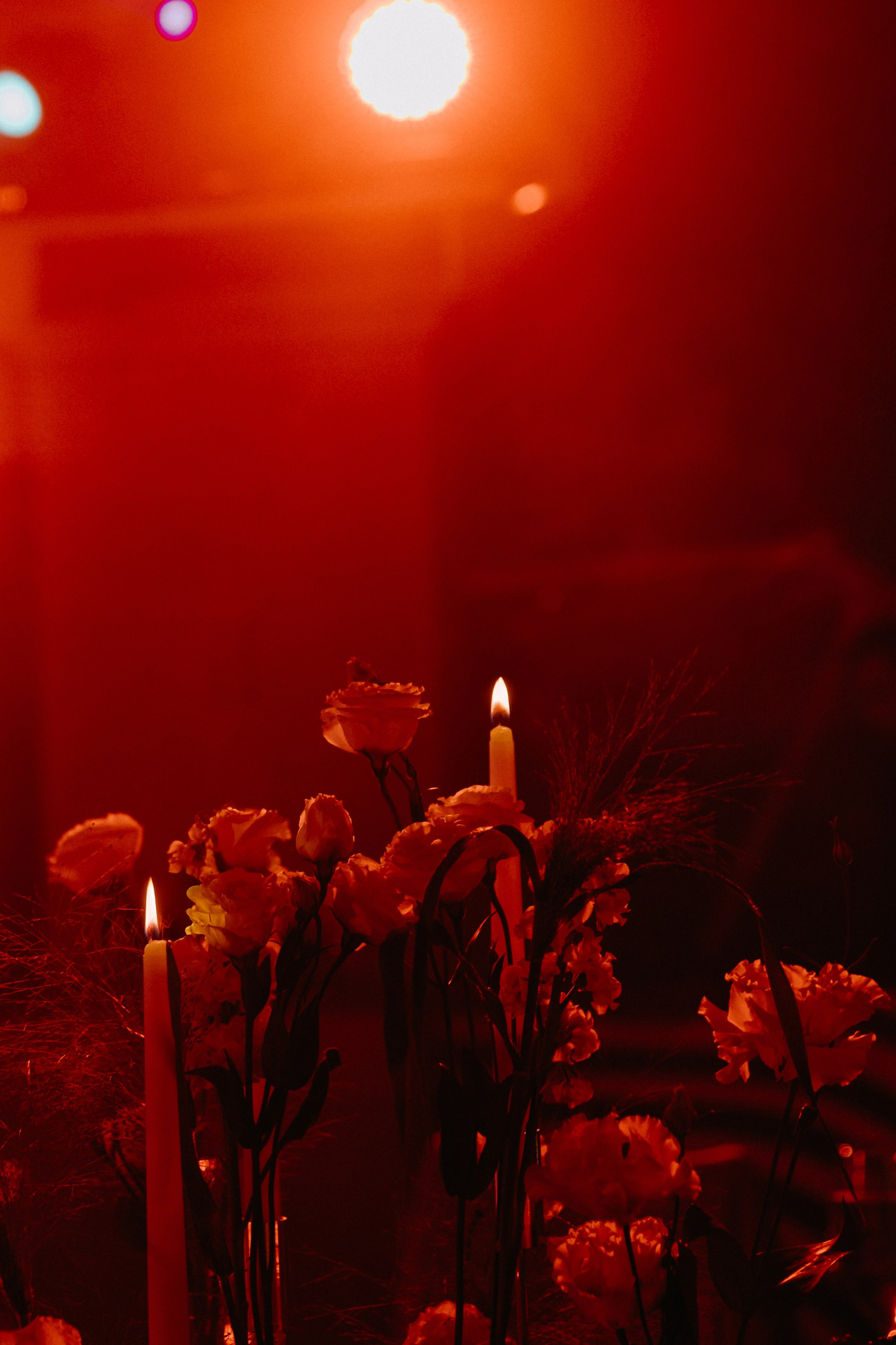 Love and Love. Свадебный фотограф в Ростове-на-Дону Нина Крейцберг