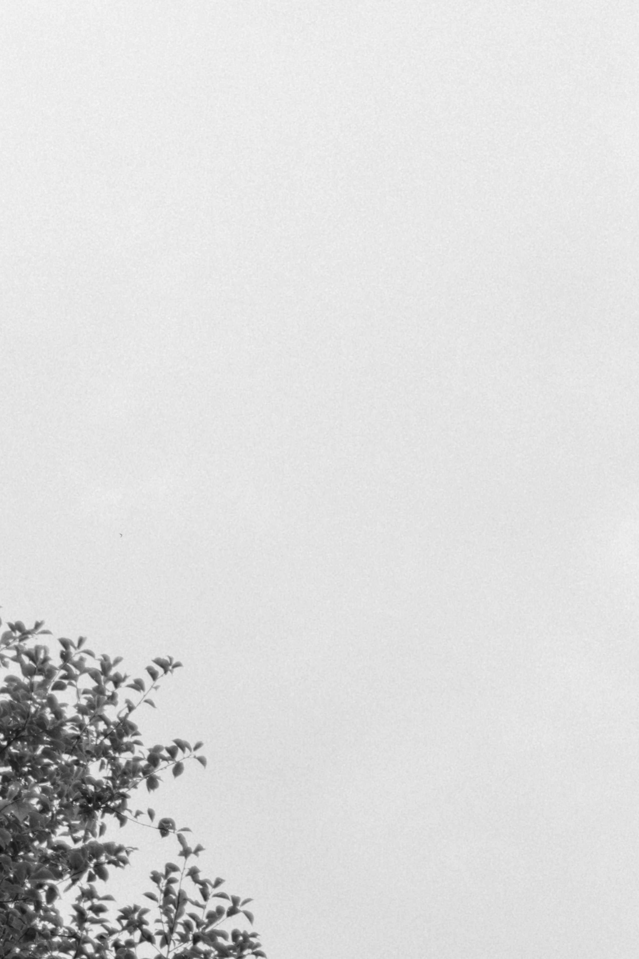 ВМЕСТЕ. Свадебный фотограф в Ростове-на-Дону Нина Крейцберг