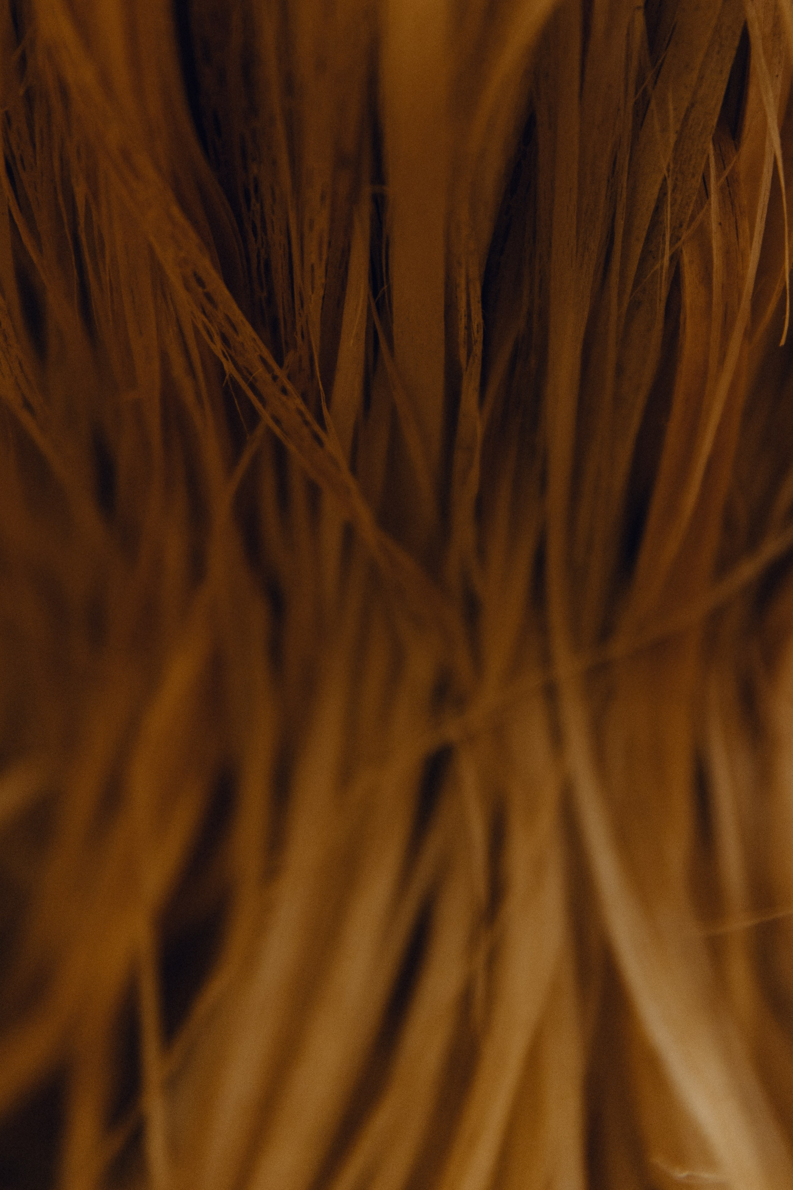 Кирилл + Татьяна. Свадебный фотограф в Ростове-на-Дону Нина Крейцберг