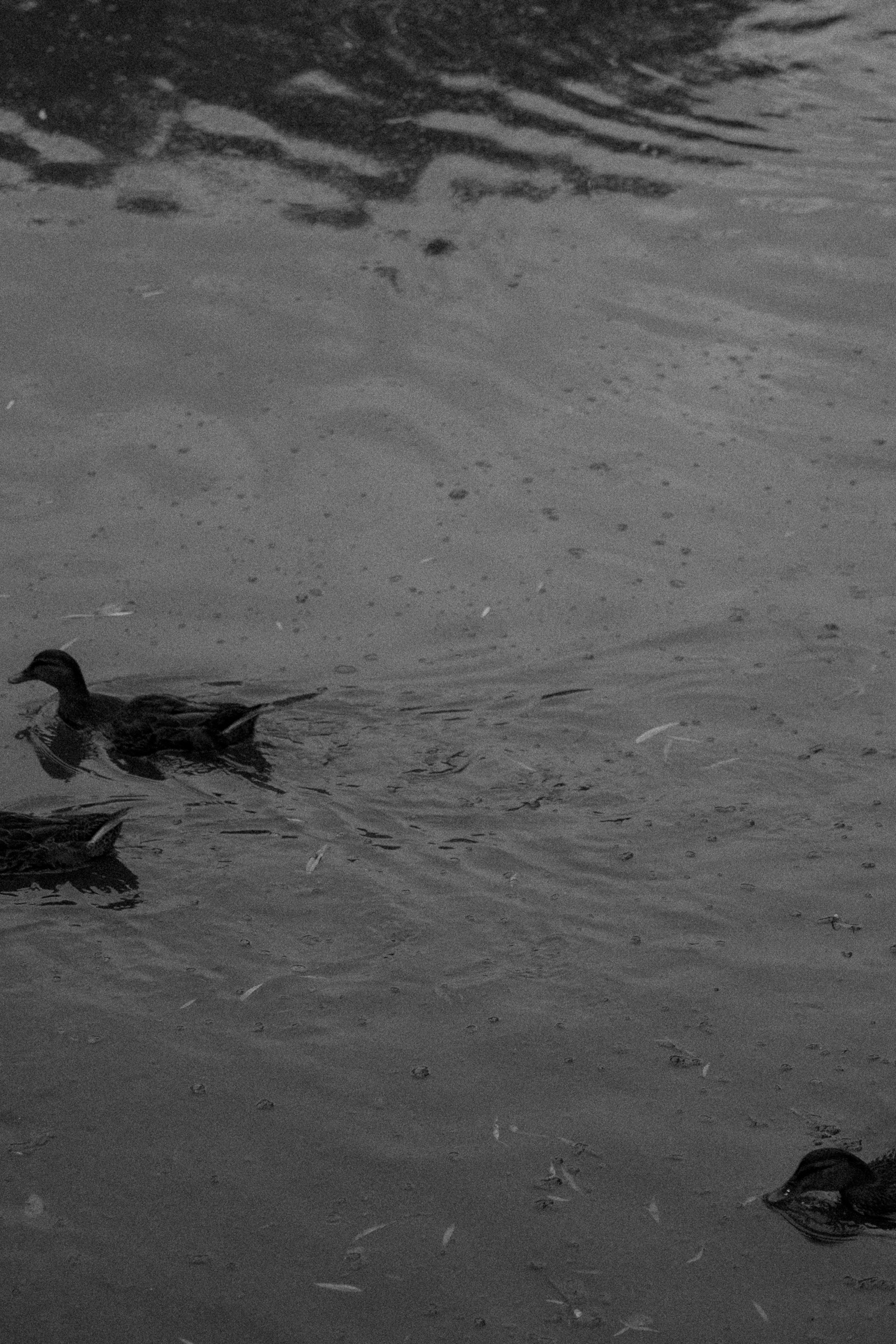 ВМЕСТЕ. Свадебный фотограф в Ростове-на-Дону Нина Крейцберг