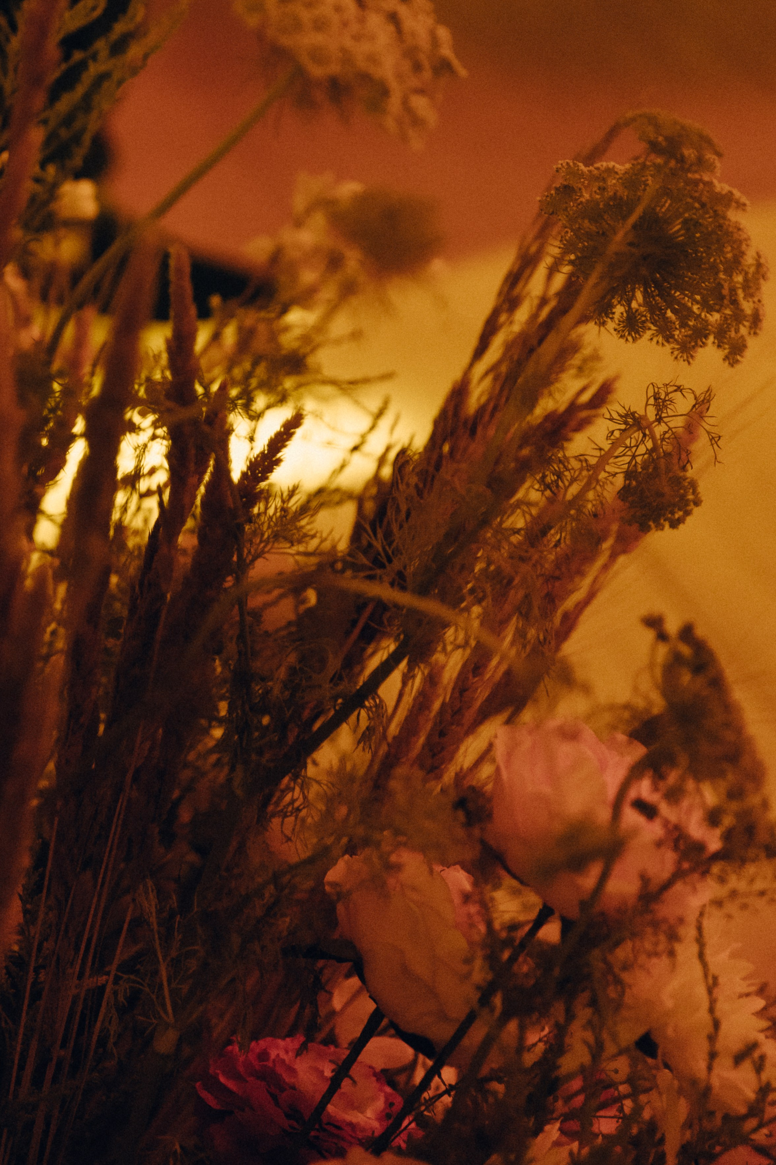 Кирилл + Татьяна. Свадебный фотограф в Ростове-на-Дону Нина Крейцберг