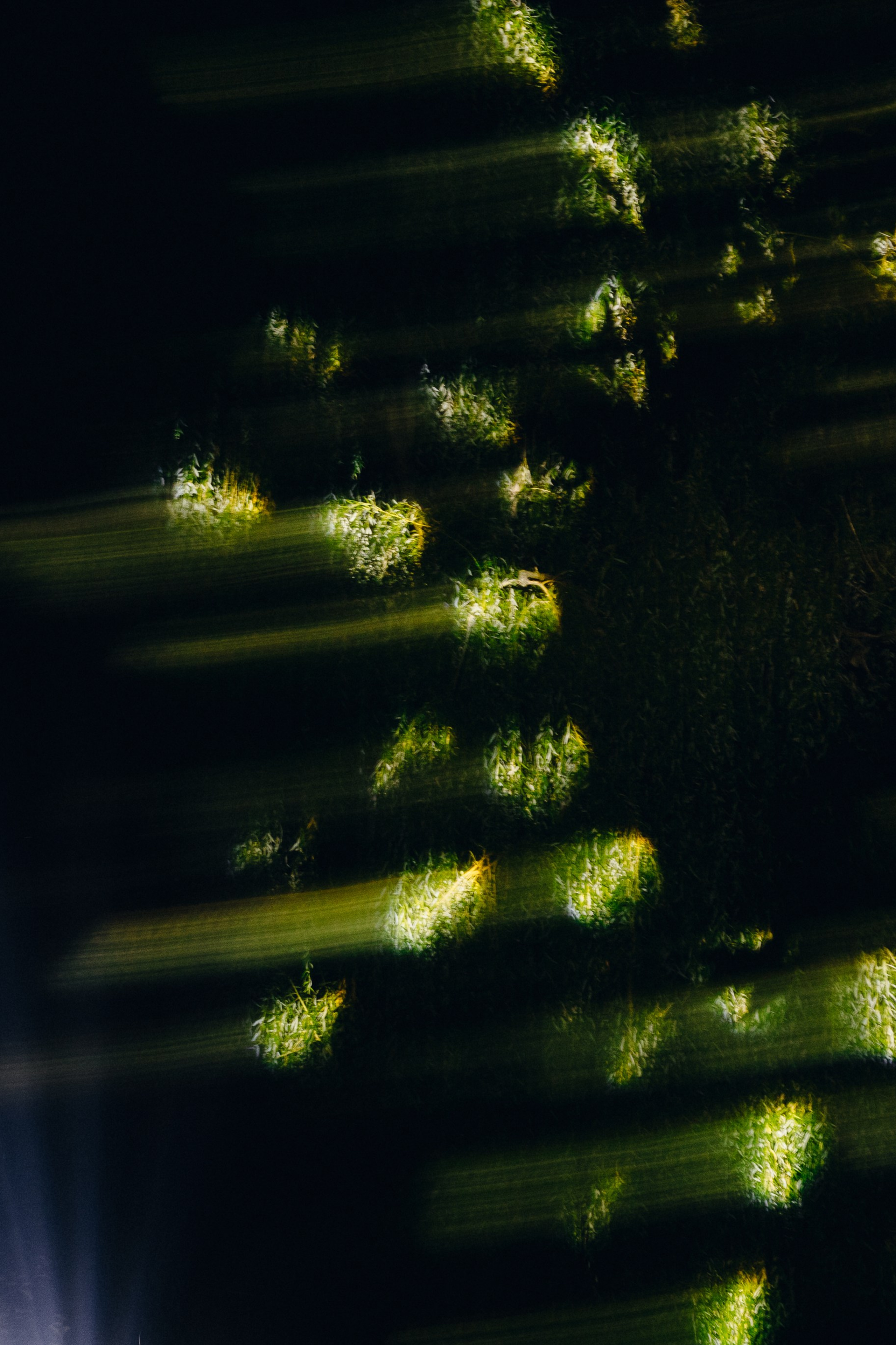 ВМЕСТЕ. Свадебный фотограф в Ростове-на-Дону Нина Крейцберг