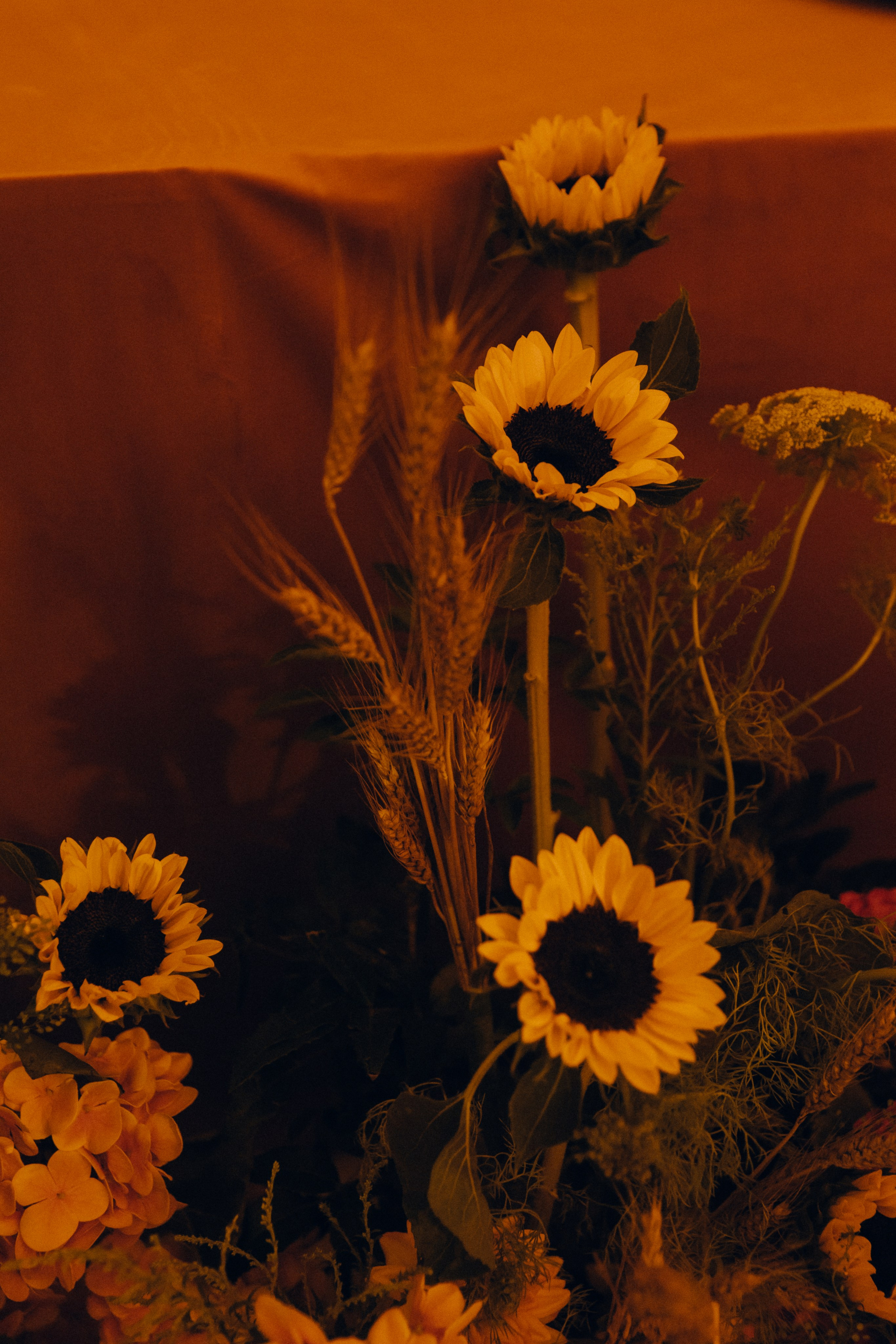 Кирилл + Татьяна. Свадебный фотограф в Ростове-на-Дону Нина Крейцберг