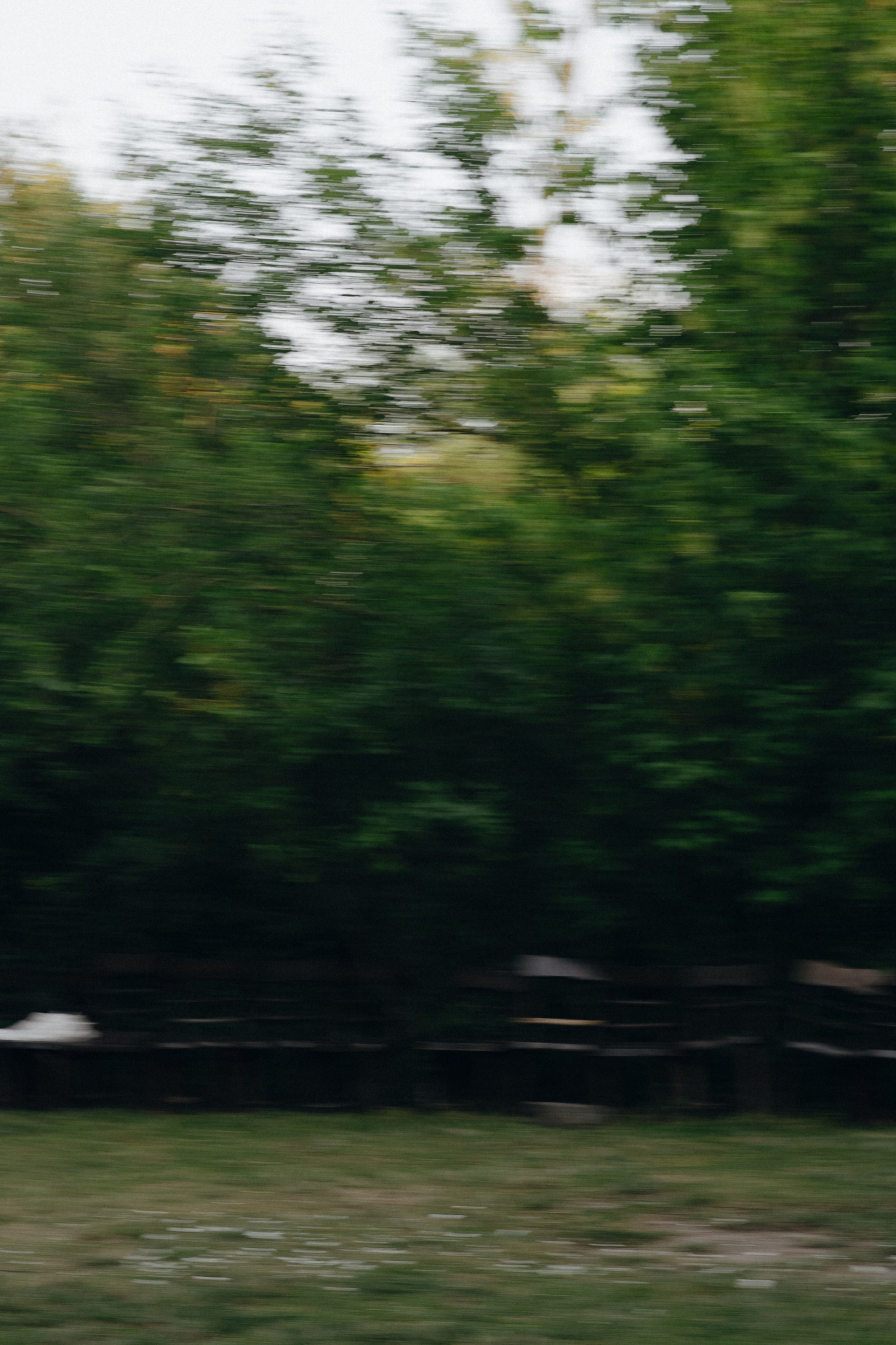 ВМЕСТЕ. Свадебный фотограф в Ростове-на-Дону Нина Крейцберг