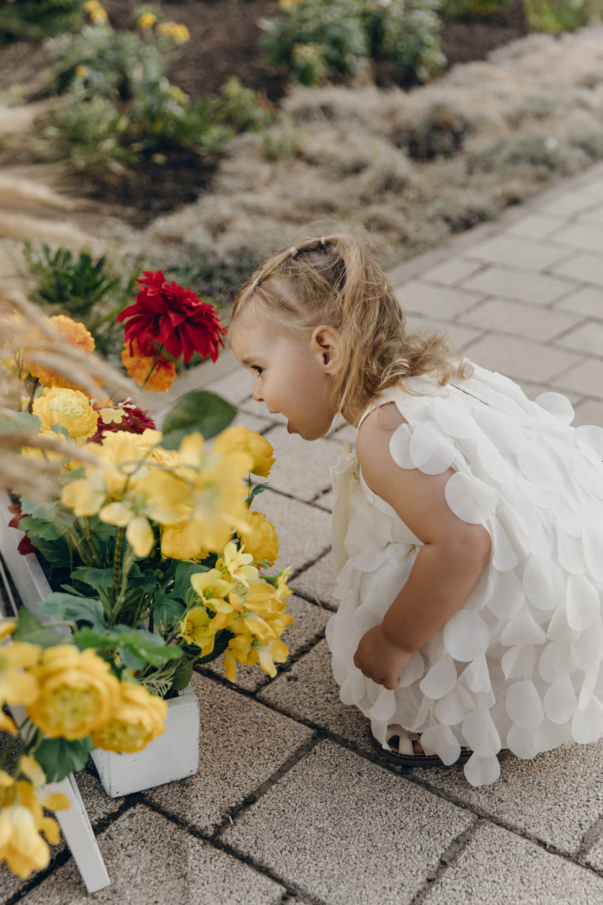 Кирилл + Татьяна. Свадебный фотограф в Ростове-на-Дону Нина Крейцберг