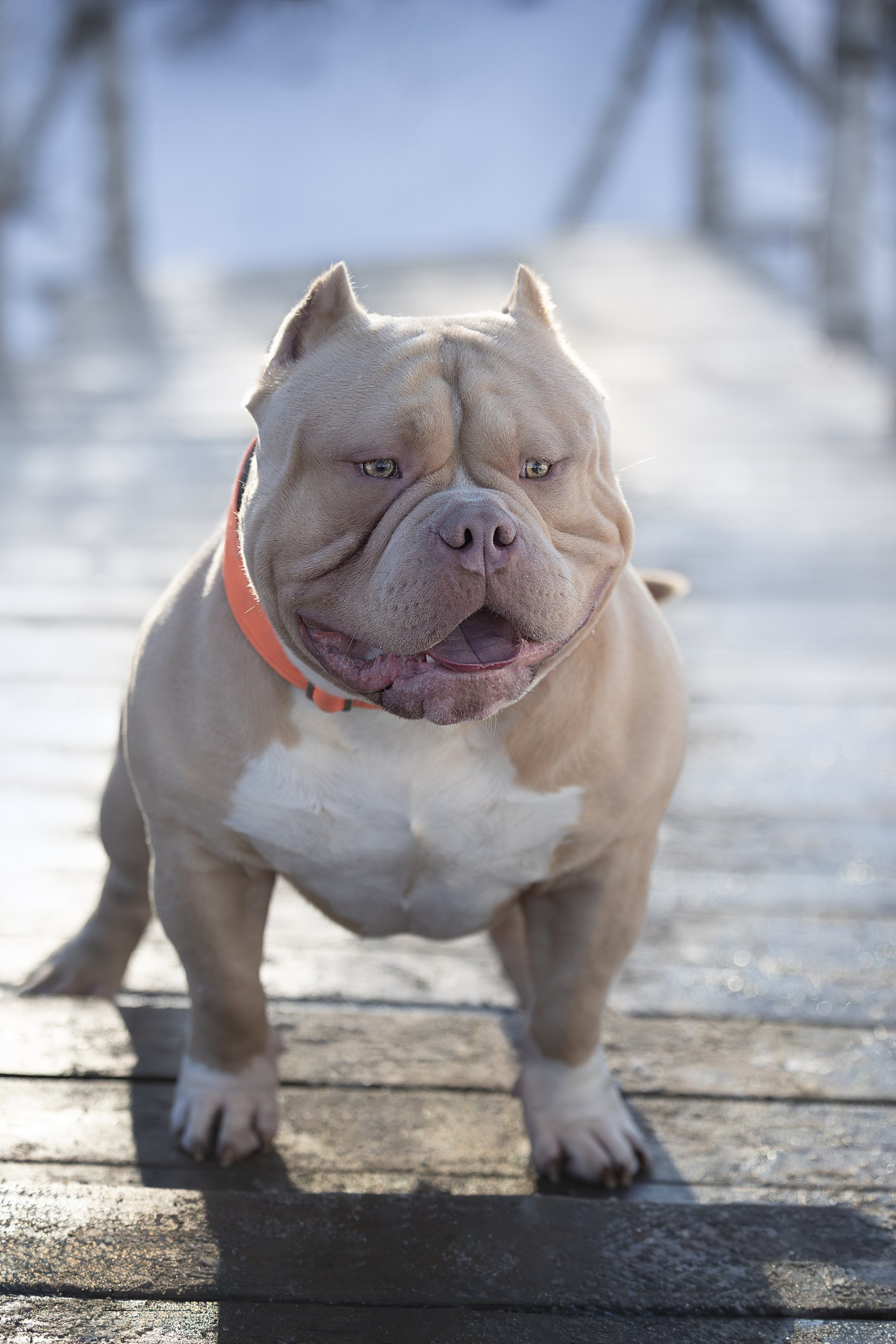 Истории. Главная