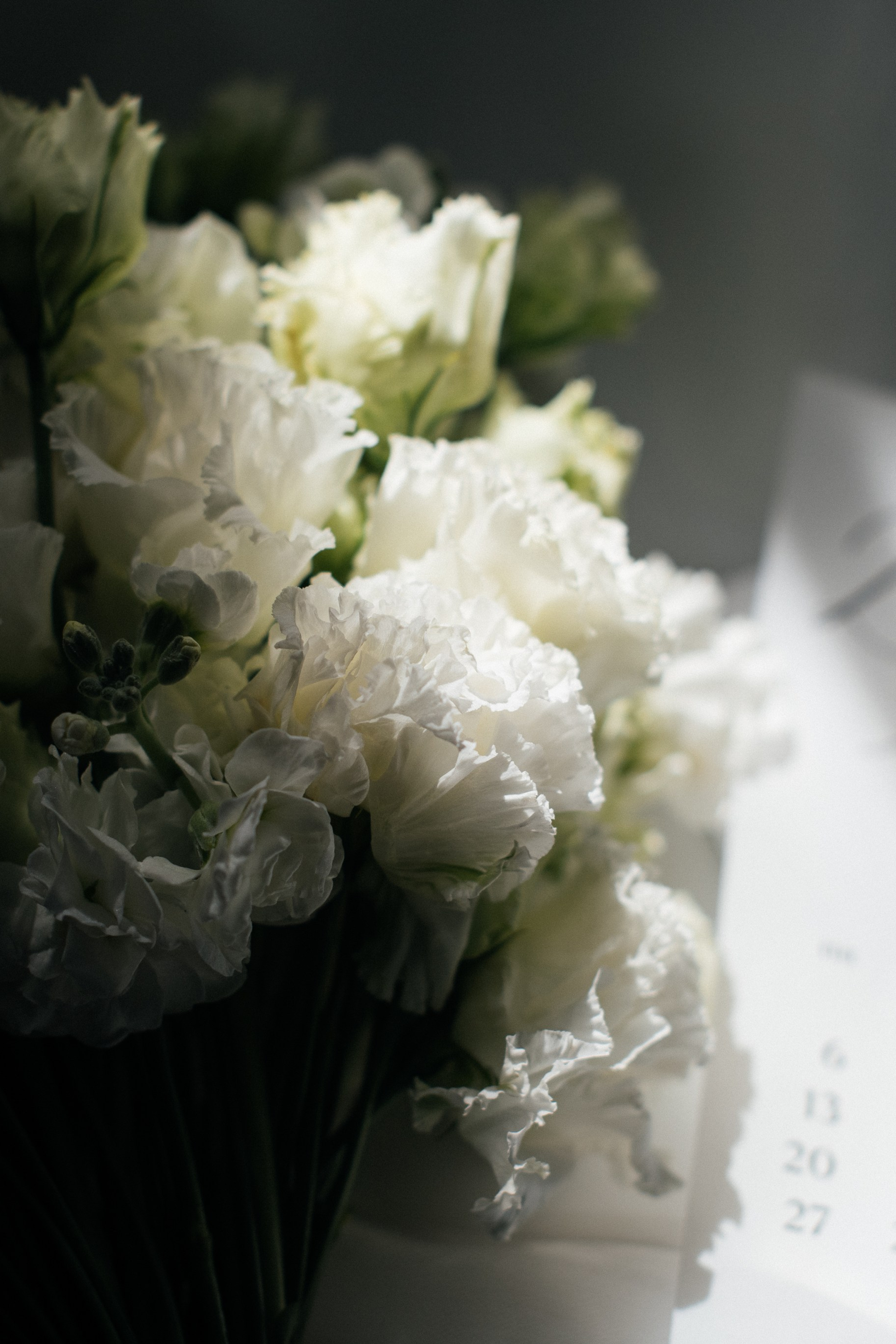 Отзывы. Свадебный фотограф в Барнауле | Анна Глухова