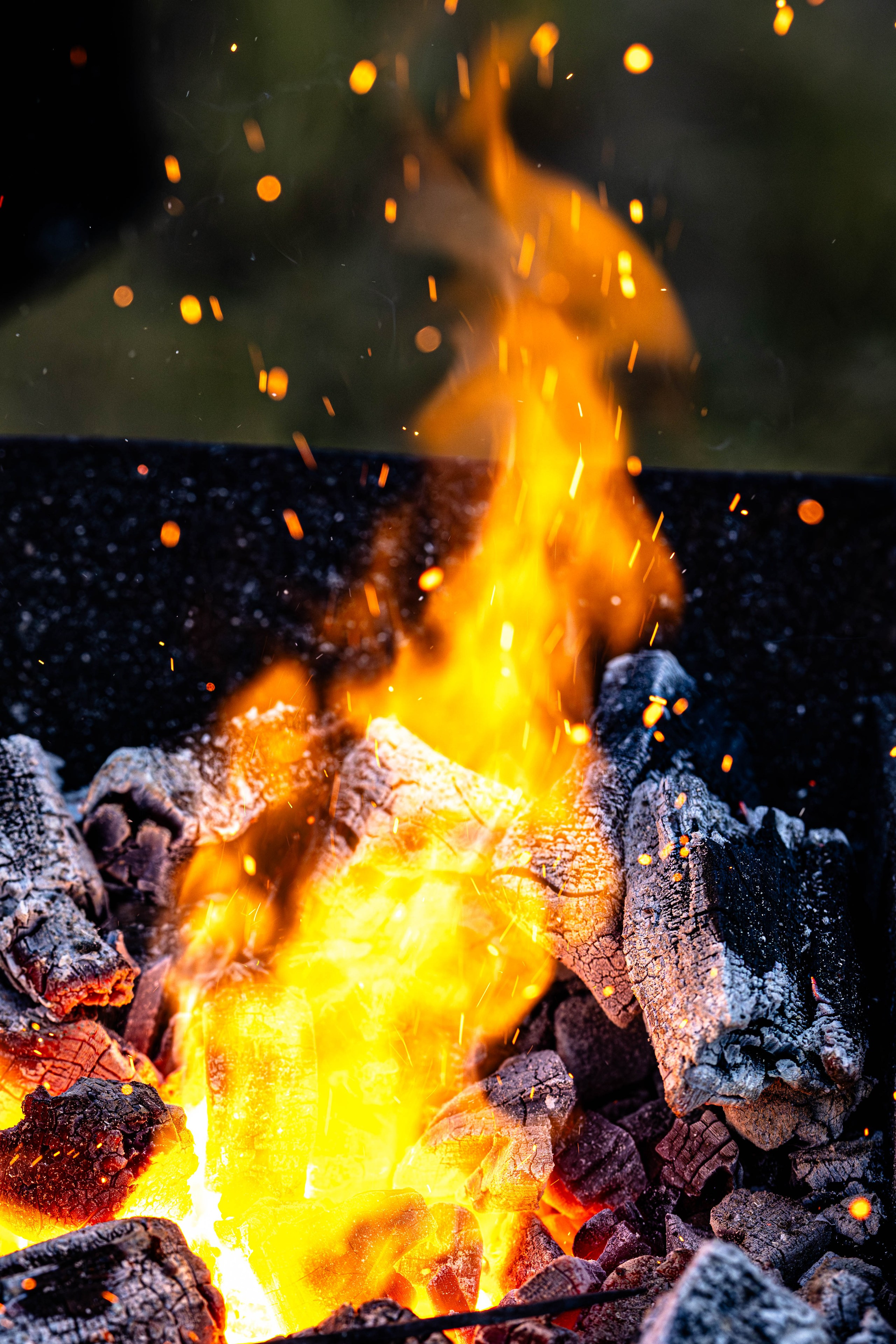 «Лихолесье» 2024