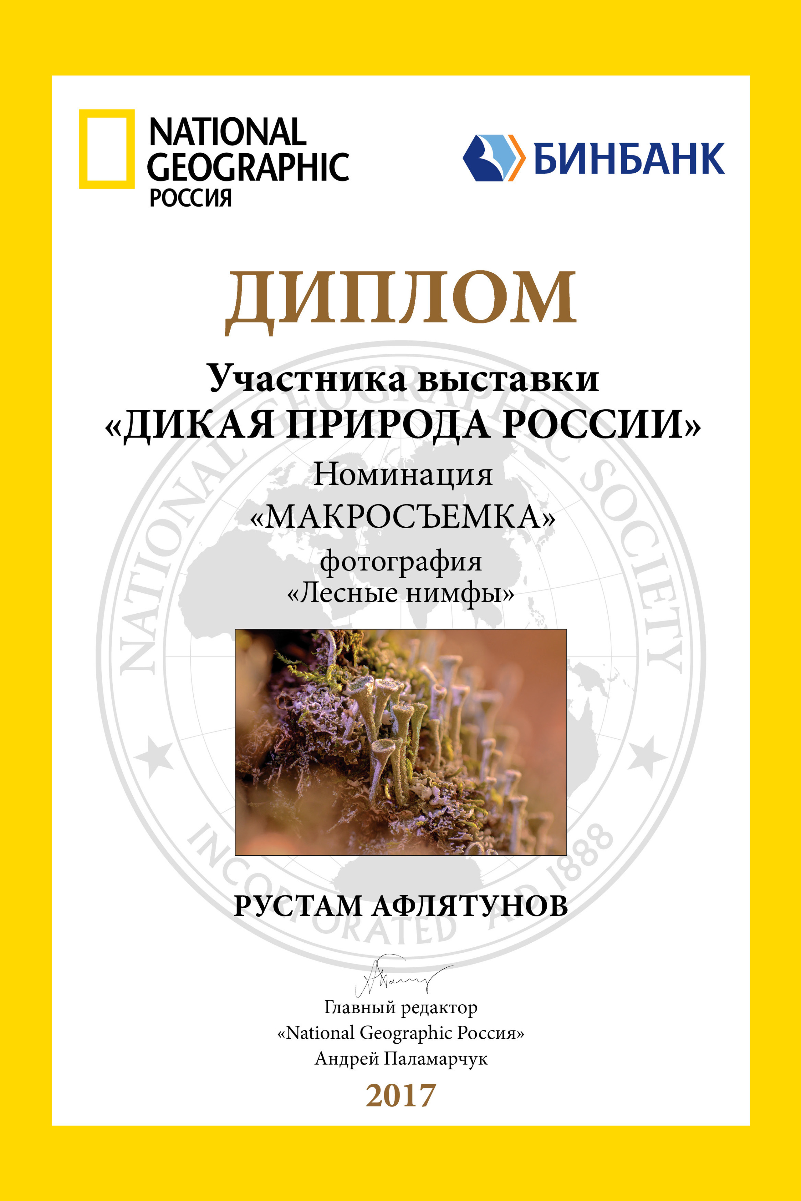 Мои победы. Спортивный и репортажный фотограф Рустам Афлятунов в Казани