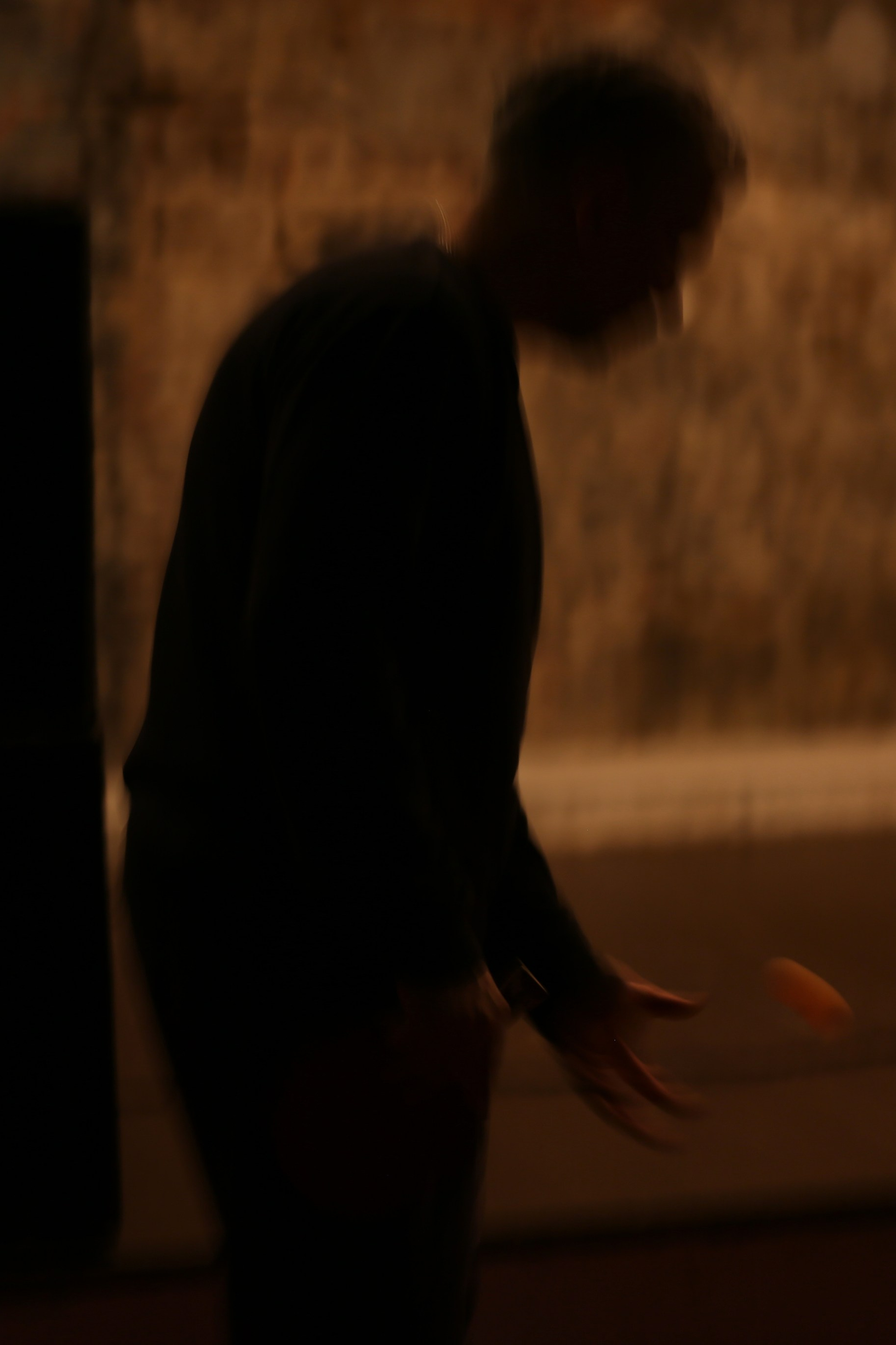 Home concert on Vesta's birthday. Фотограф Антонина Гудкова