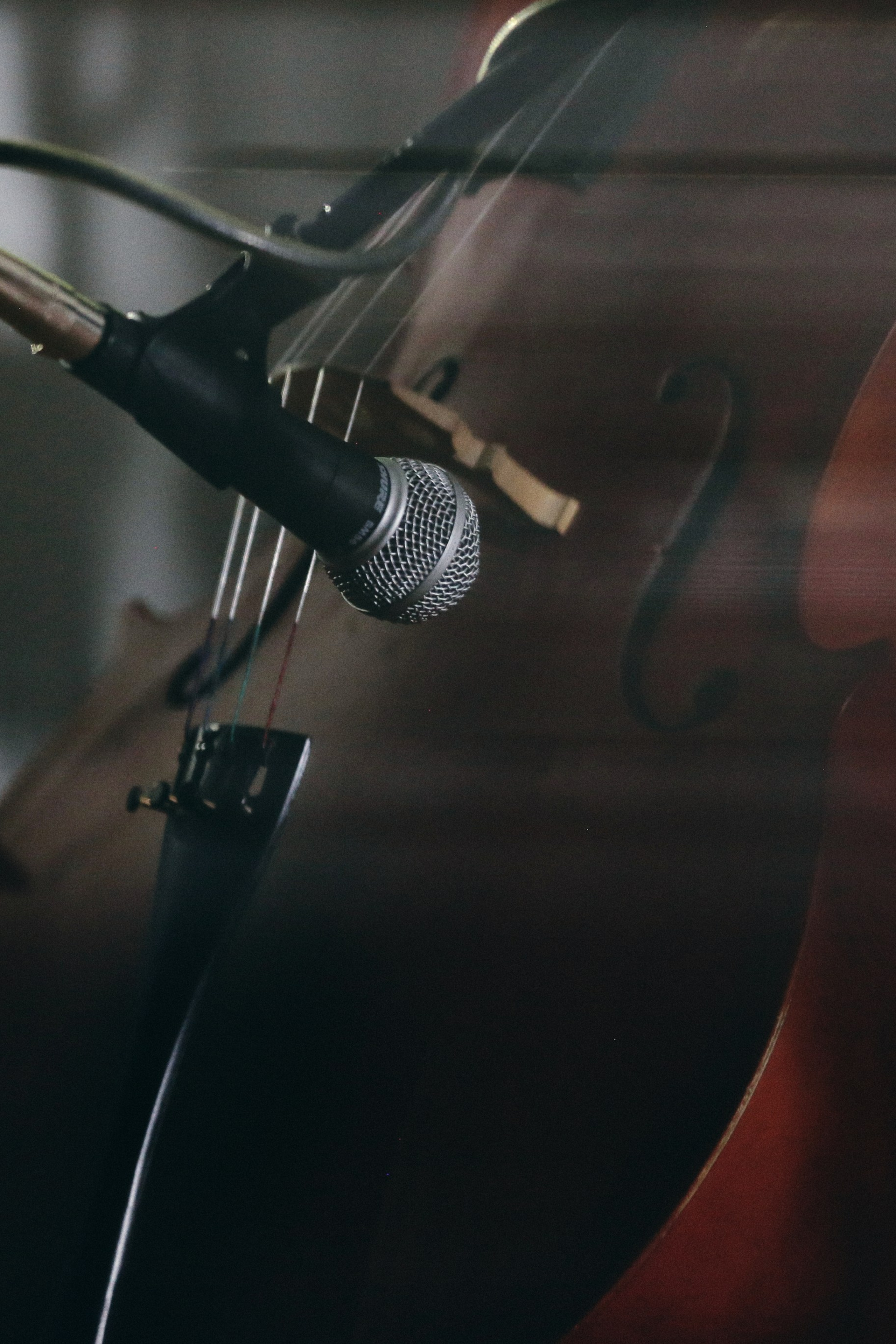 Истории. Фотограф Антонина Гудкова