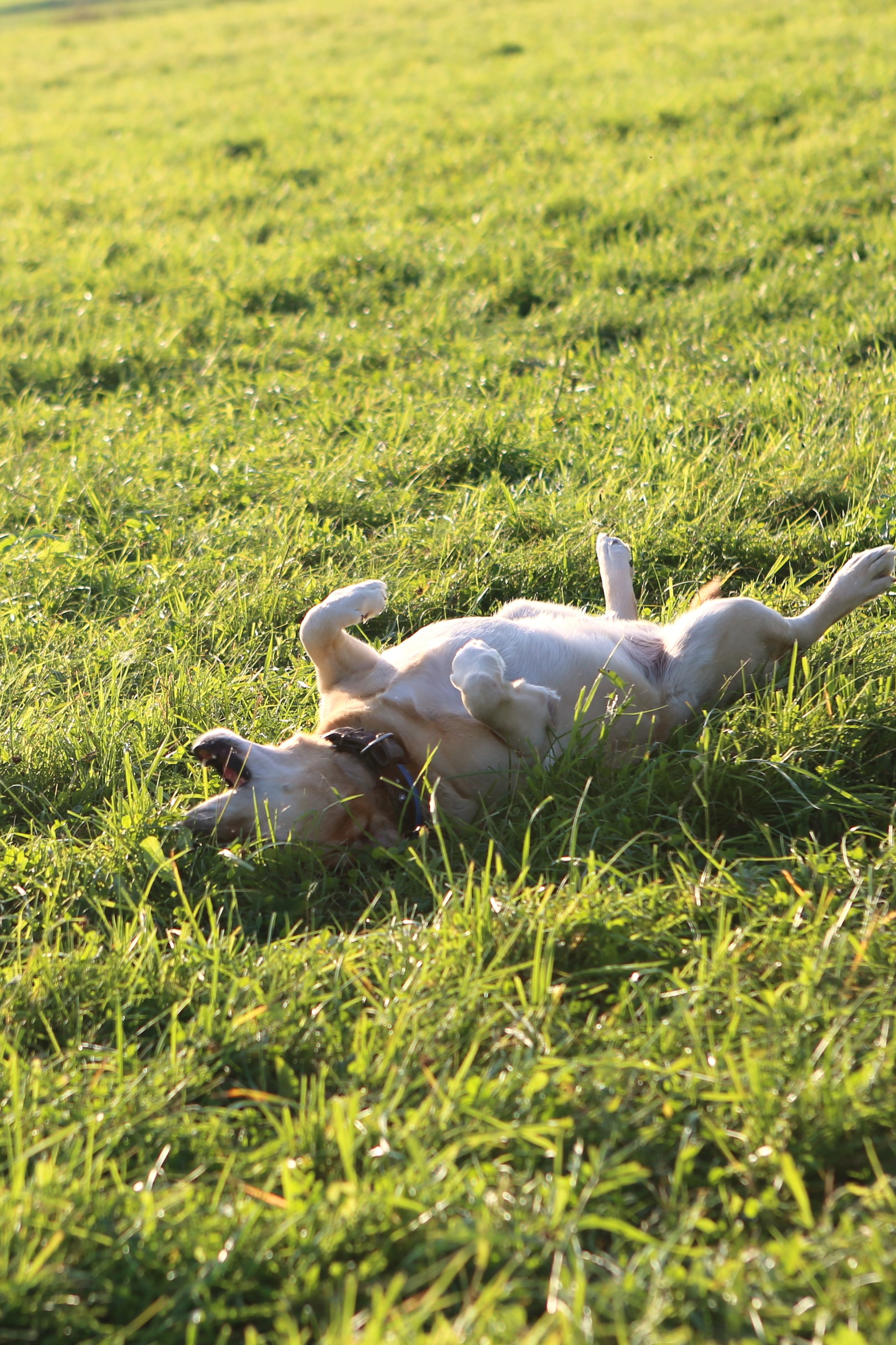 Истории. Фотограф Антонина Гудкова