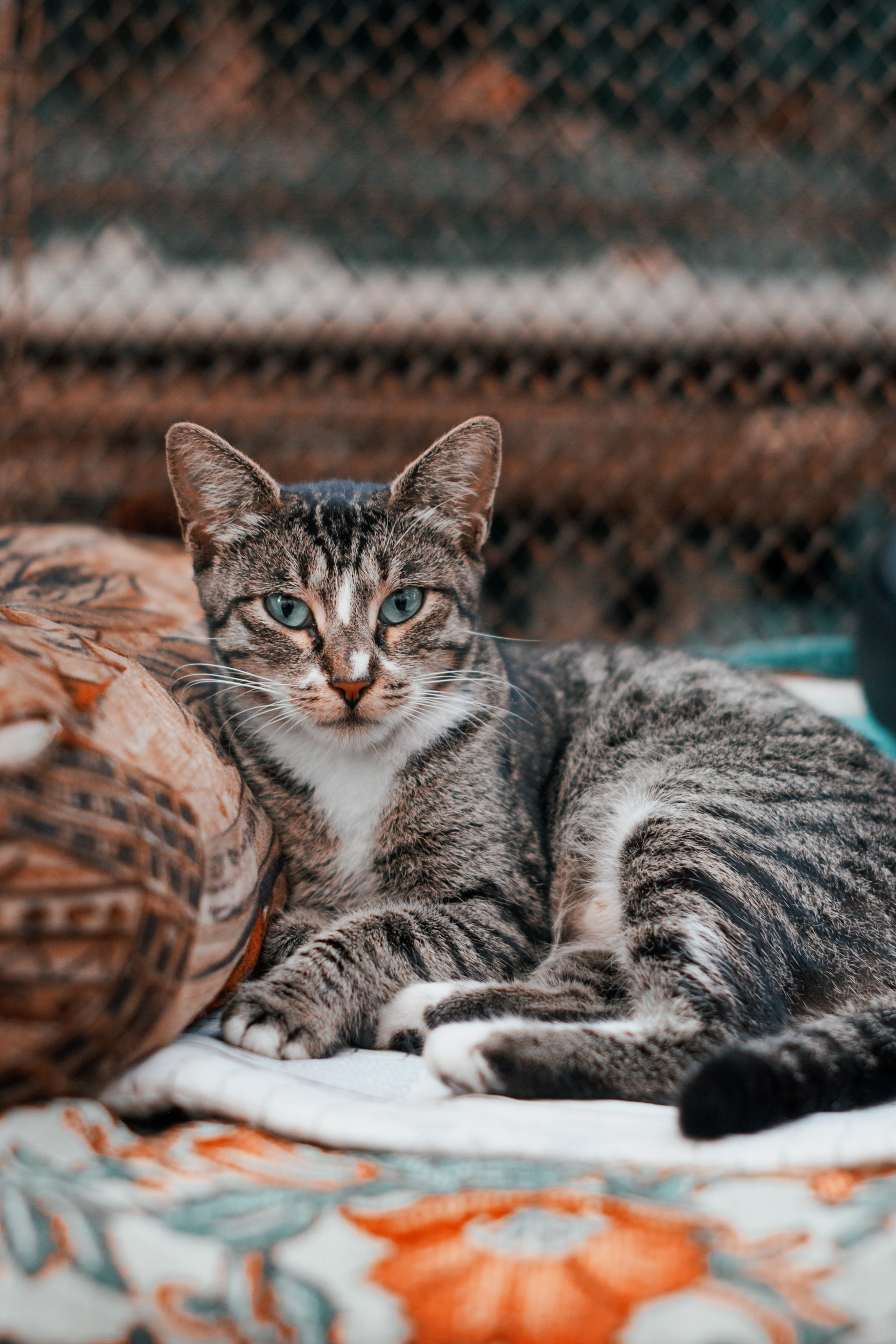 История. Портретный фотограф Денис Милютин