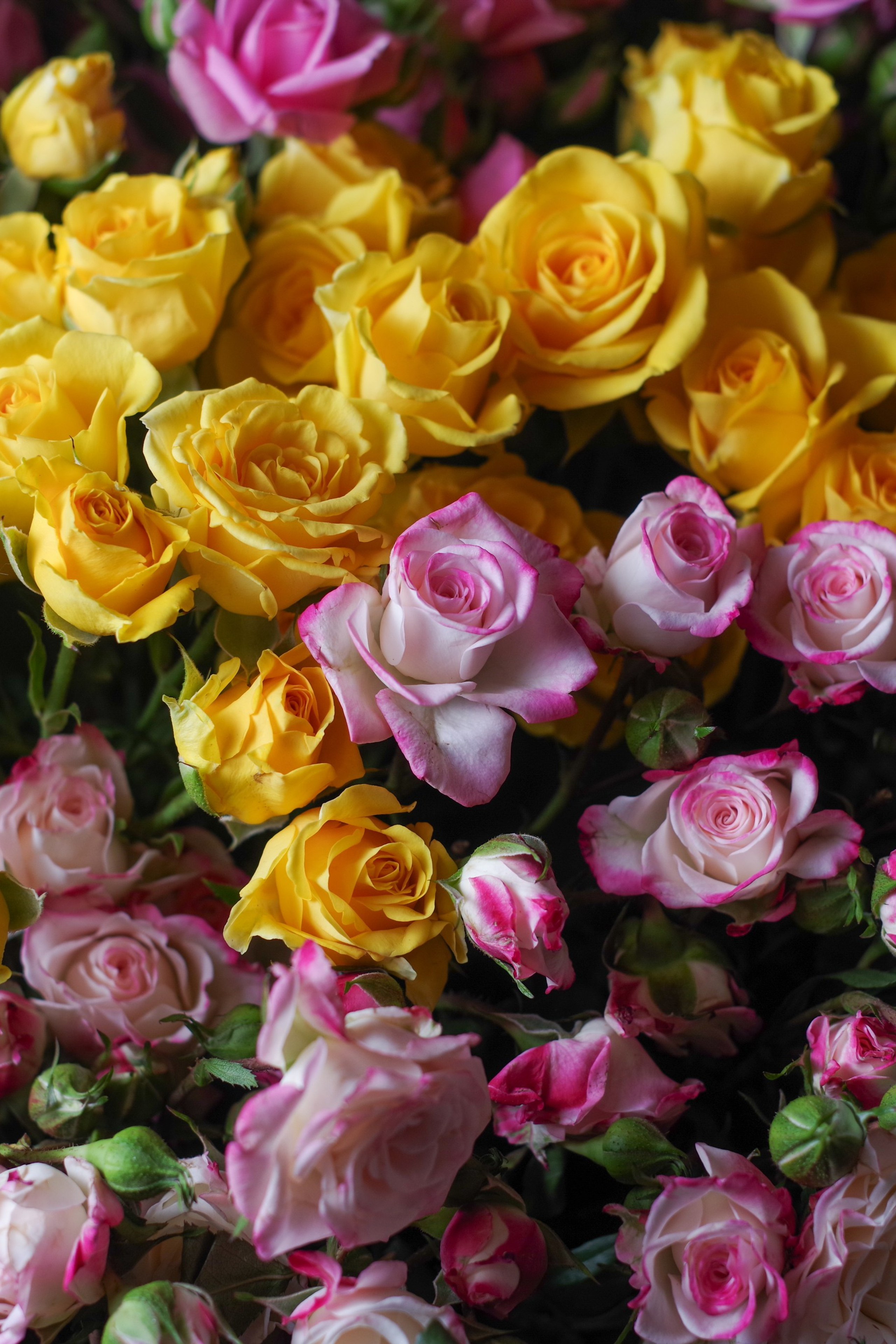 История. Портретный фотограф Денис Милютин