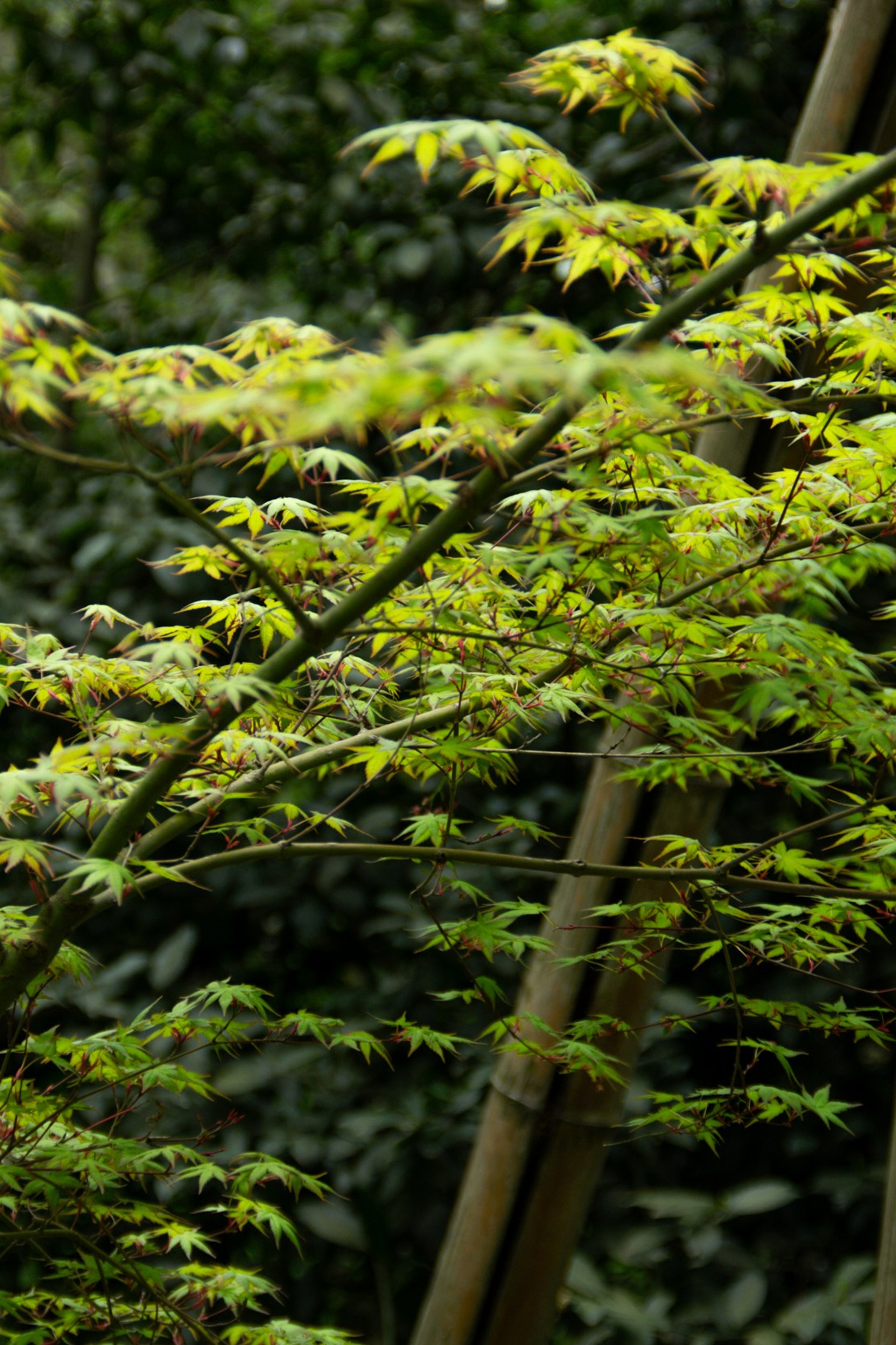 История. Портретный фотограф Денис Милютин