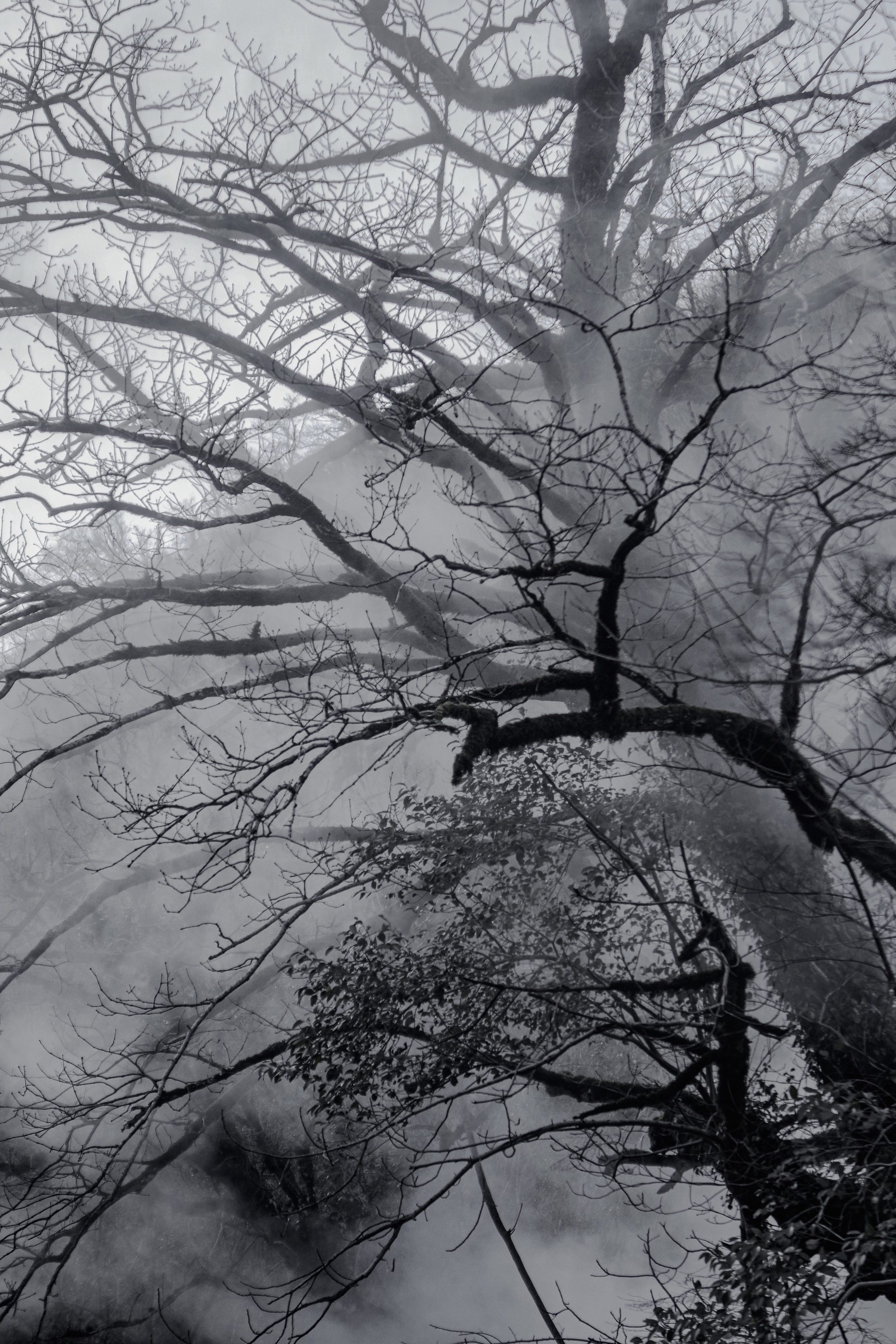 История. Портретный фотограф Денис Милютин