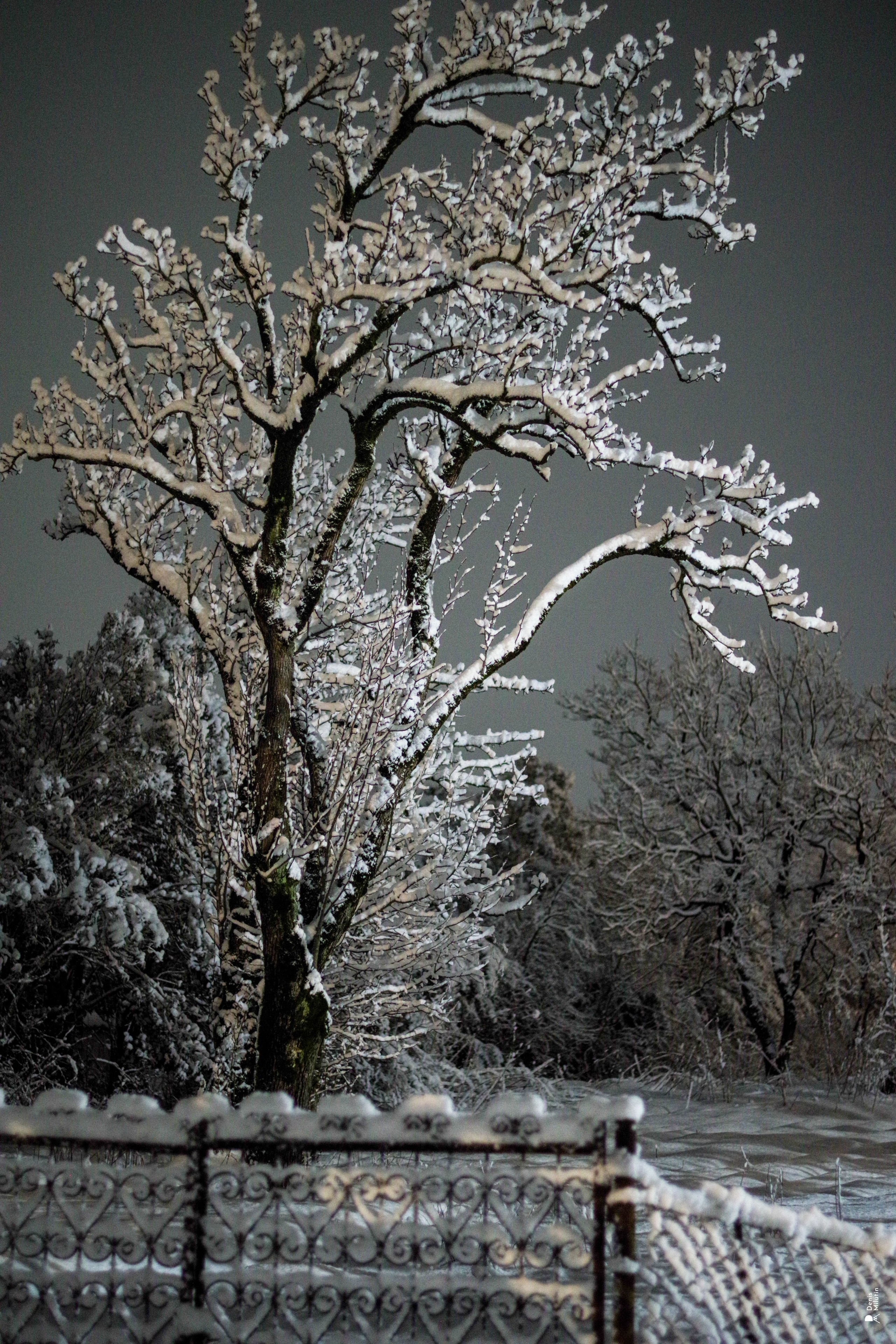 История. Портретный фотограф Денис Милютин
