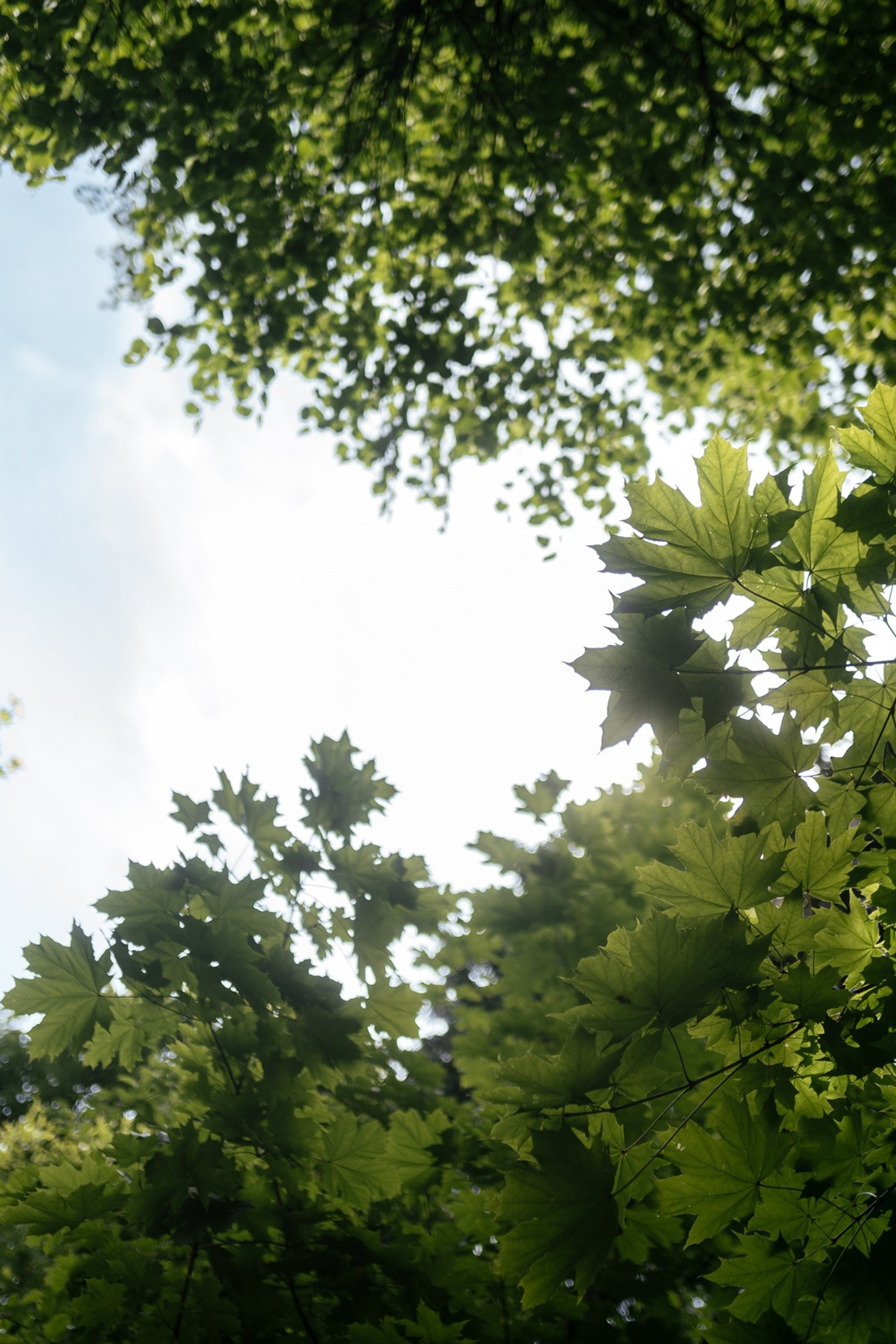 Анонсы. Фотограф Томск, Новосибирск Влад Свириденко