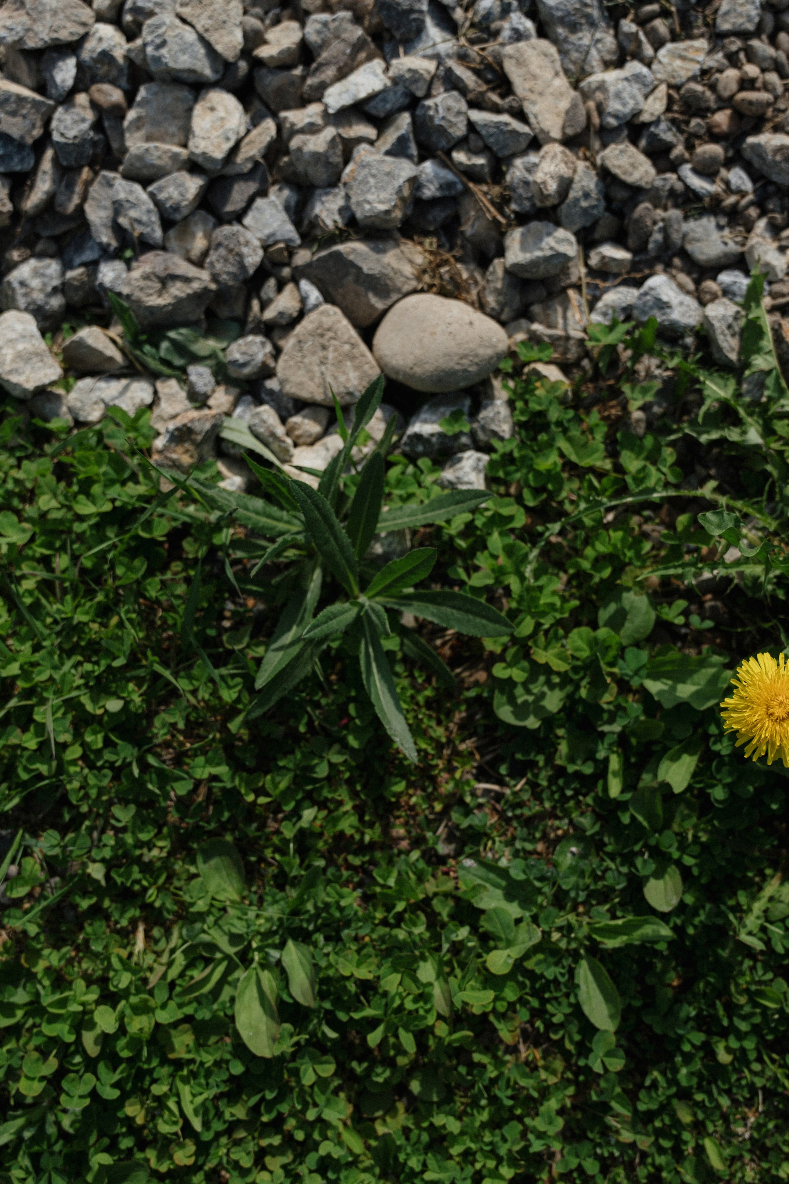 Анонсы. Фотограф Томск, Новосибирск Влад Свириденко