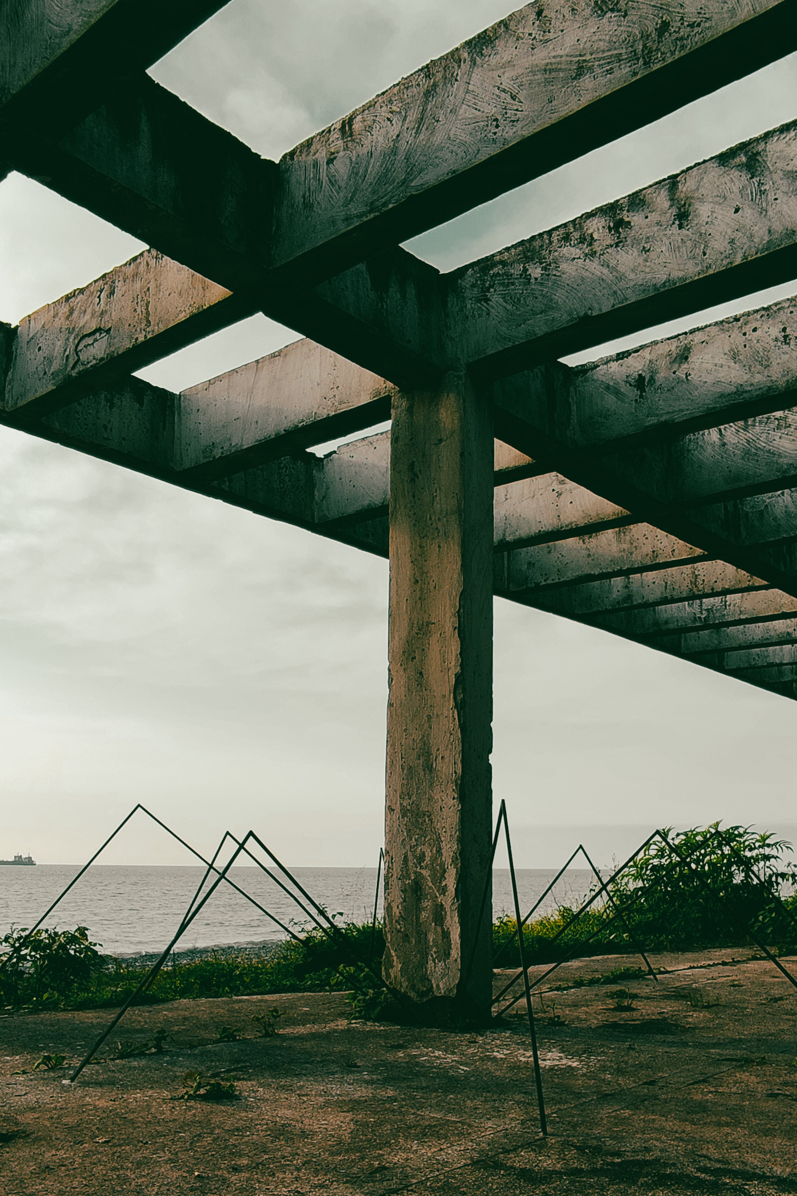 Curatorial projects. Mmiore