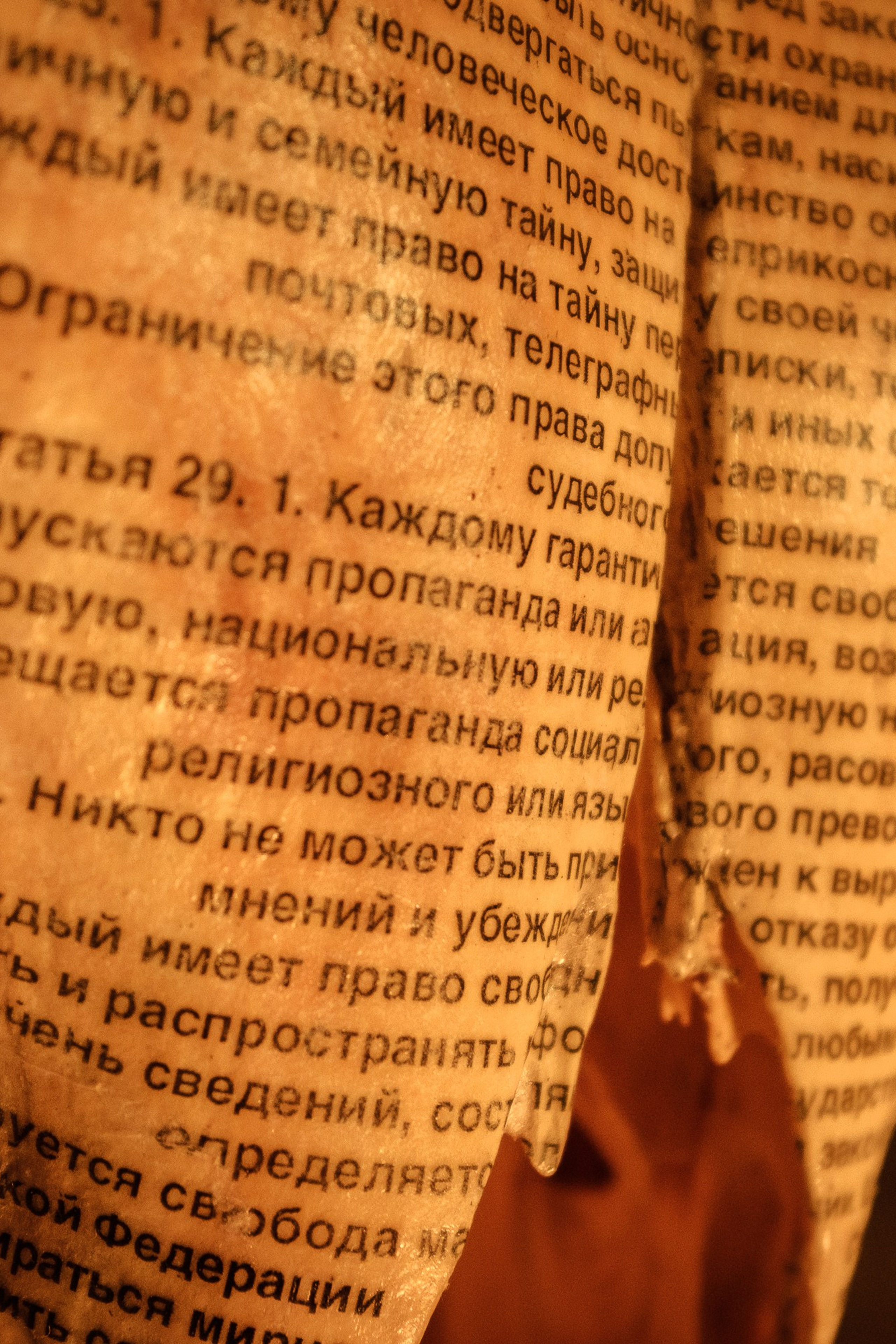 Curatorial projects. Mmiore