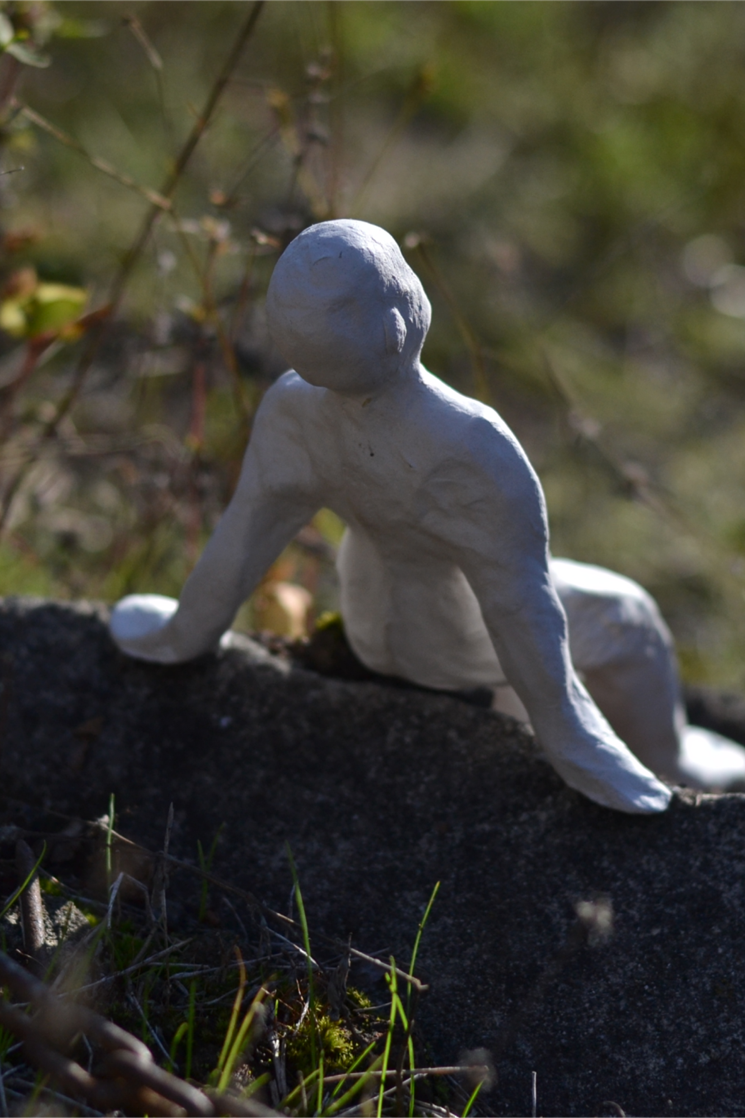 Curatorial projects. Mmiore