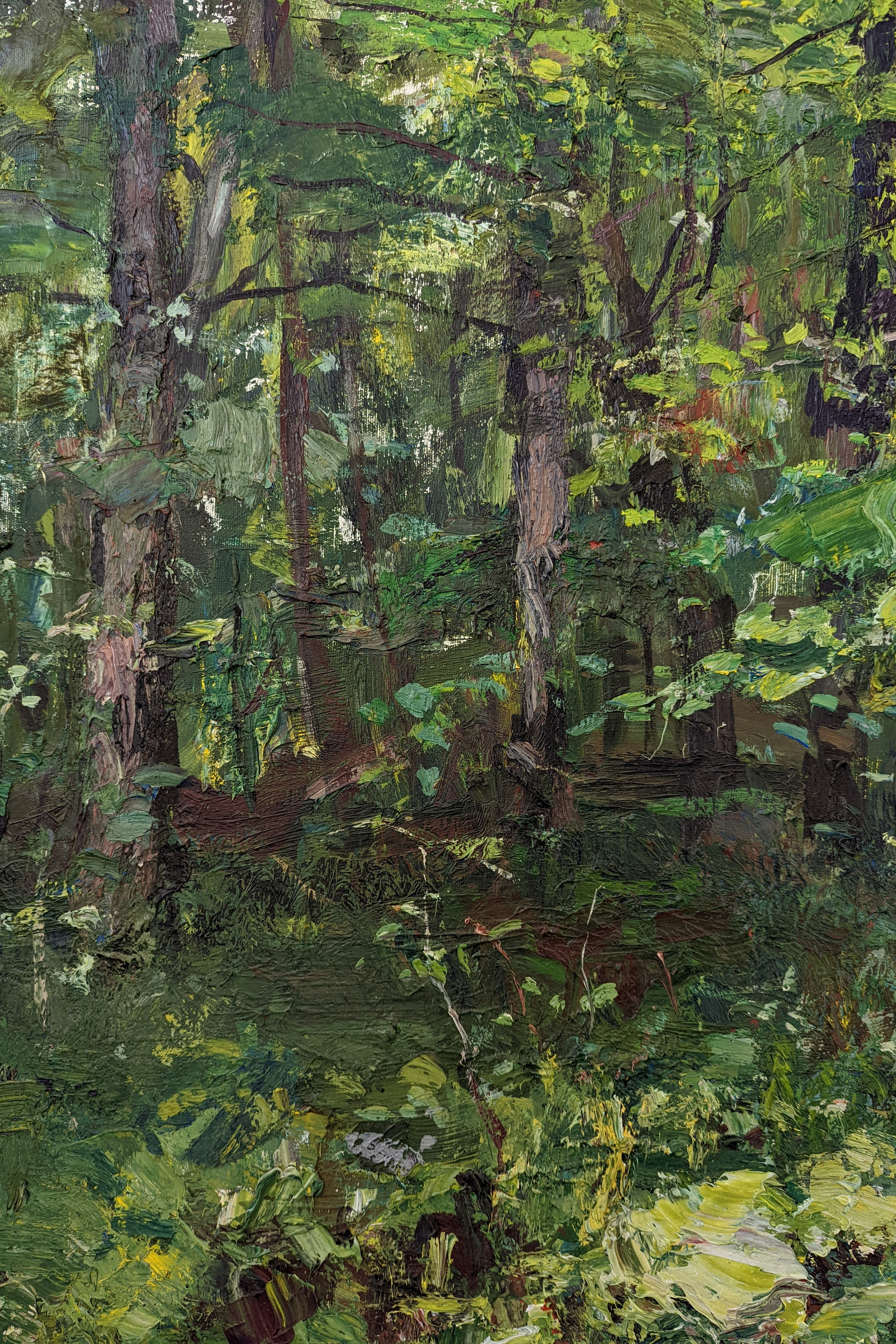 Буковый лес