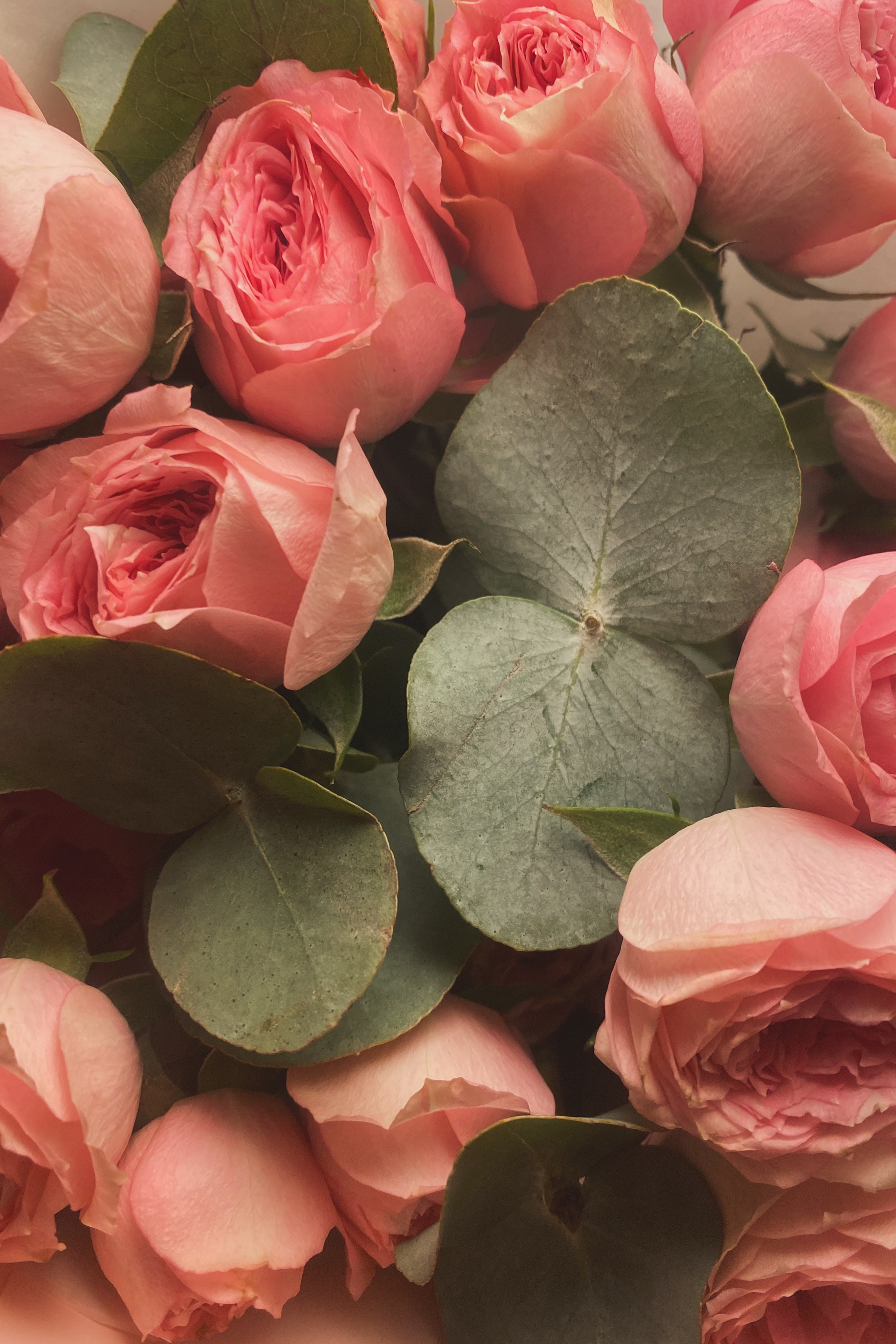 Блог. Предметный фотограф в Москве Сидорова Ульяна.Предметная фотосъёмка