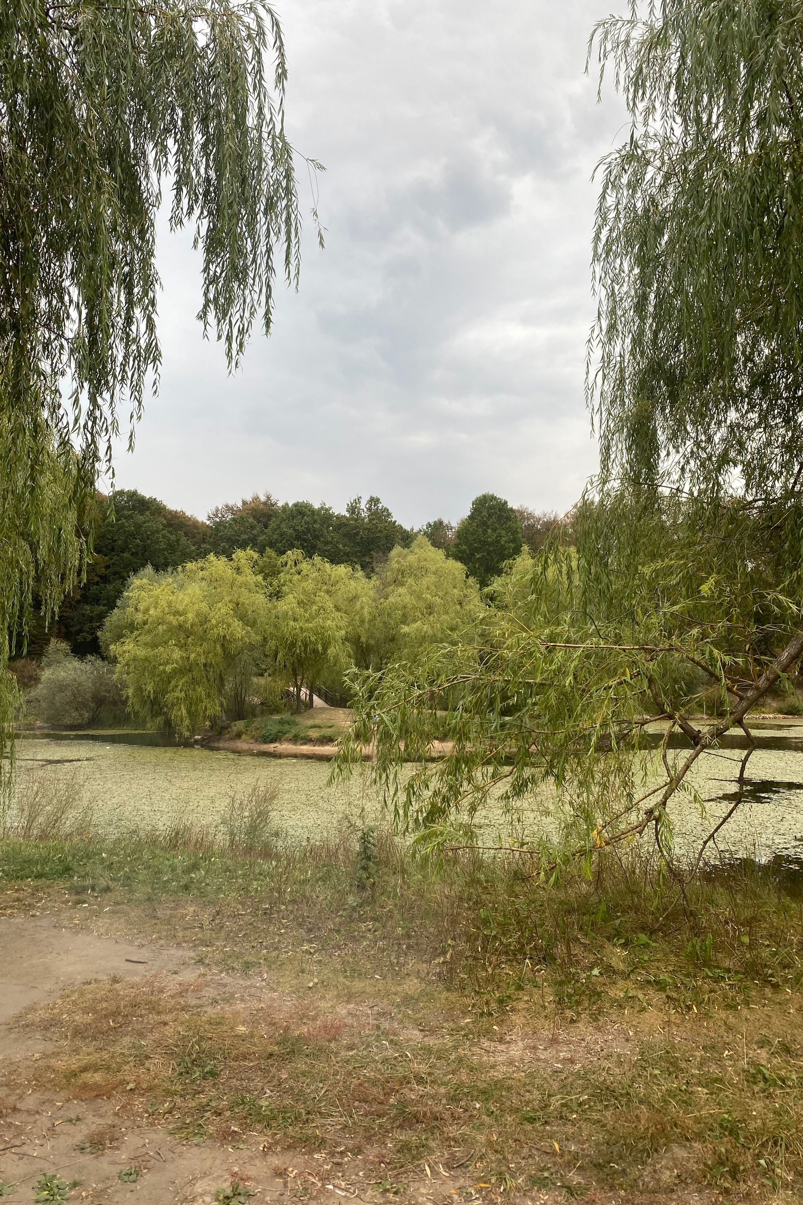 Блог. Предметный фотограф в Москве Сидорова Ульяна.Предметная фотосъёмка