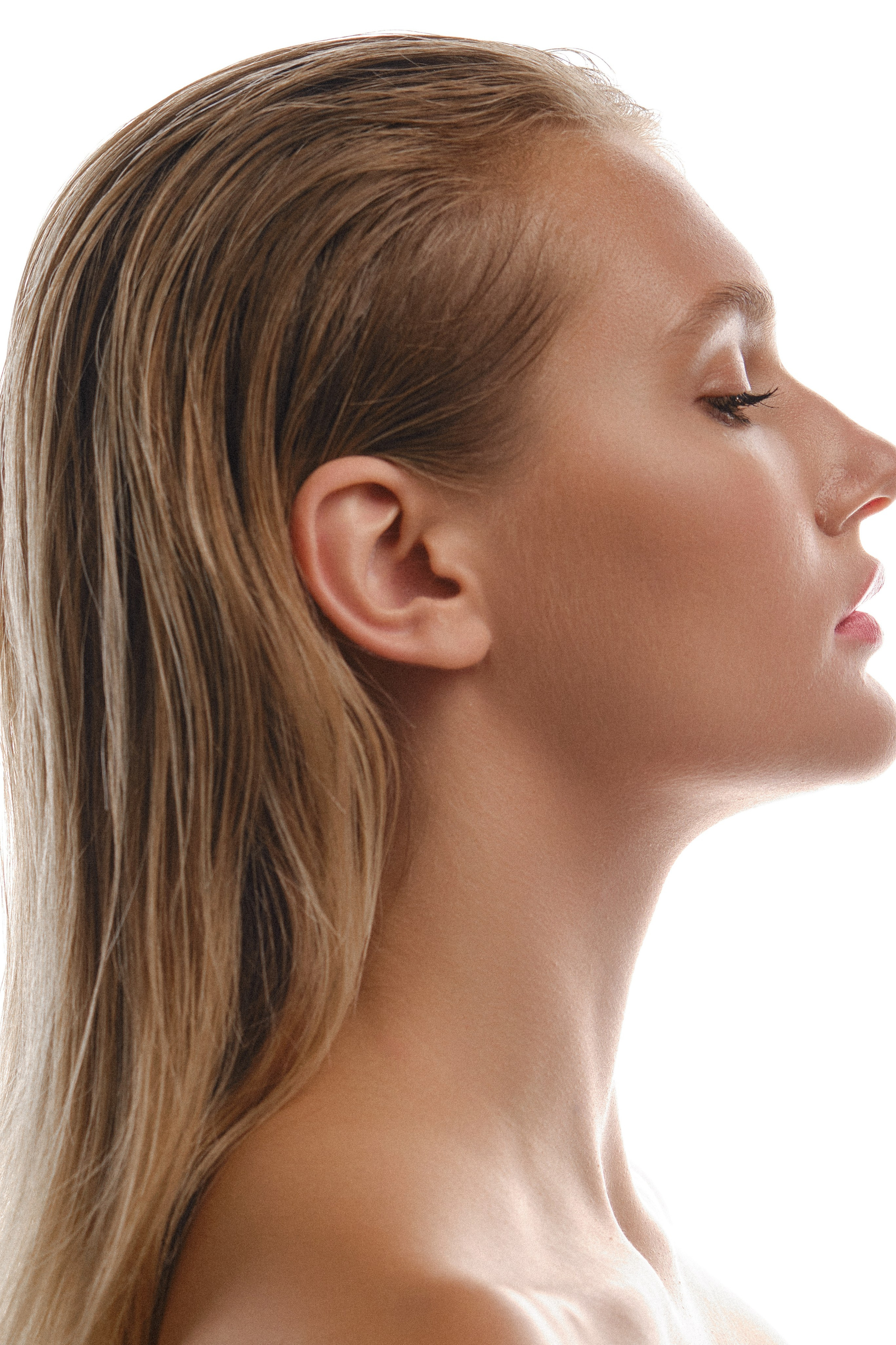 BOOK. MONSTERA MODELS