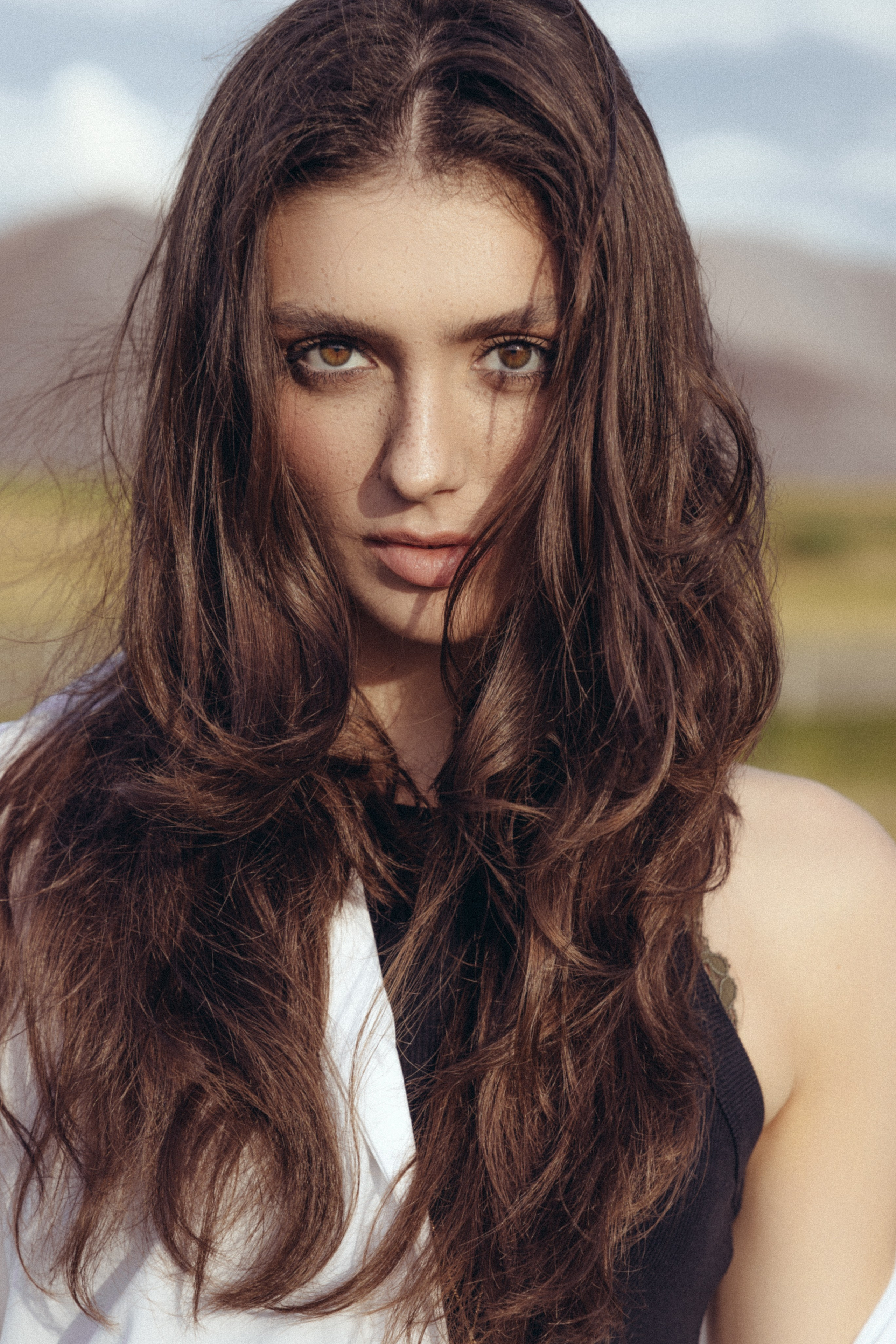BOOK. MONSTERA MODELS