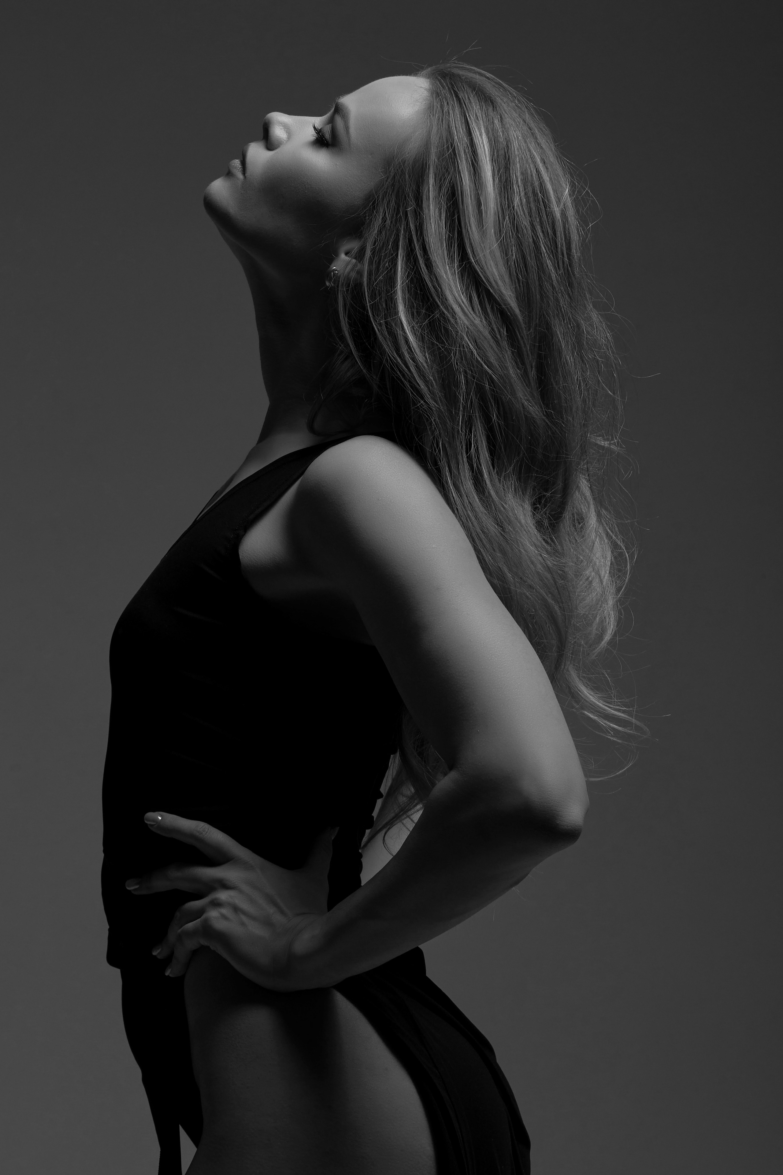 BOOK. MONSTERA MODELS